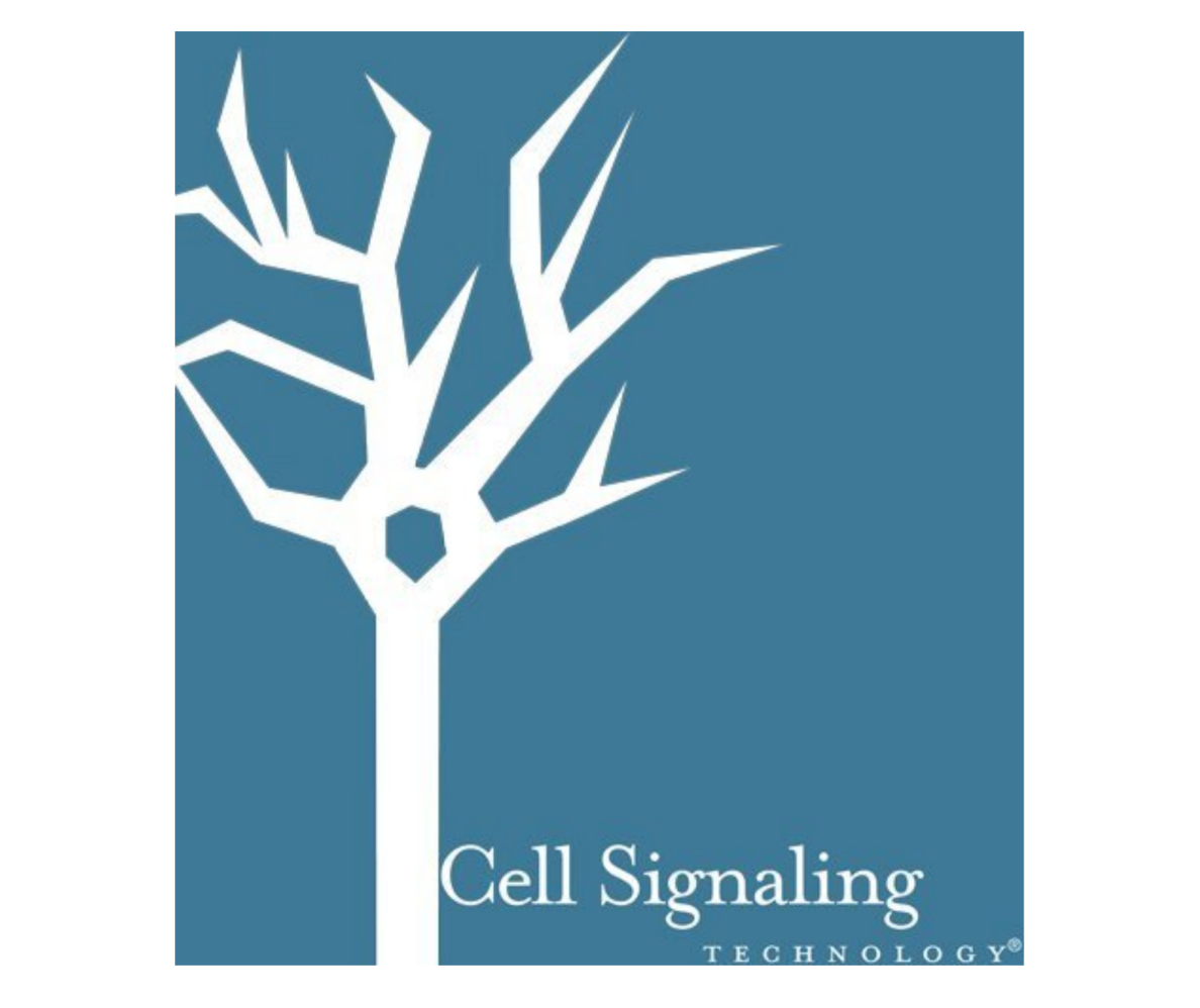 Cell Signaling Logo