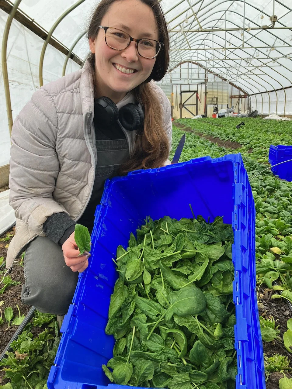 SNAP and HIP — Three Sisters