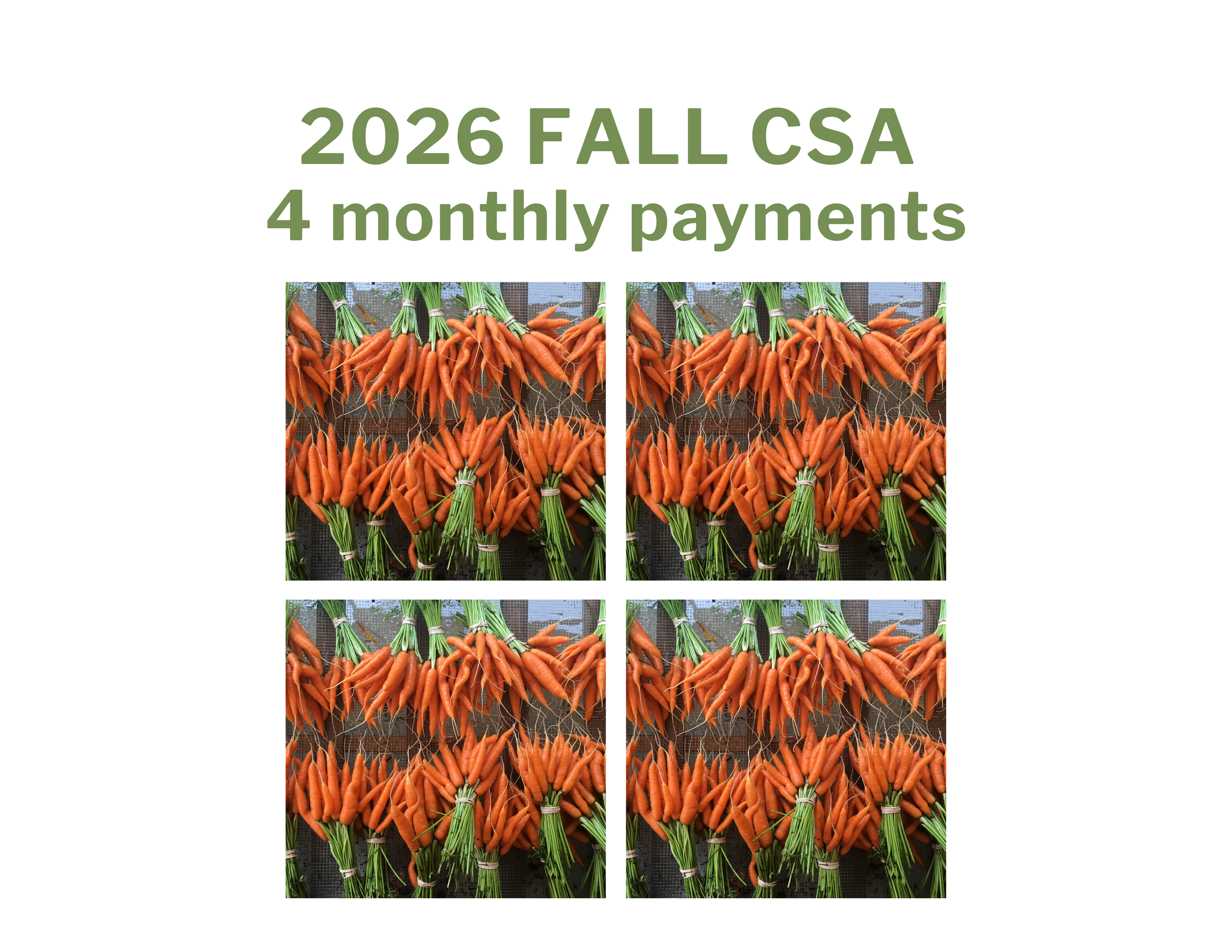 Fall 4 payments.png