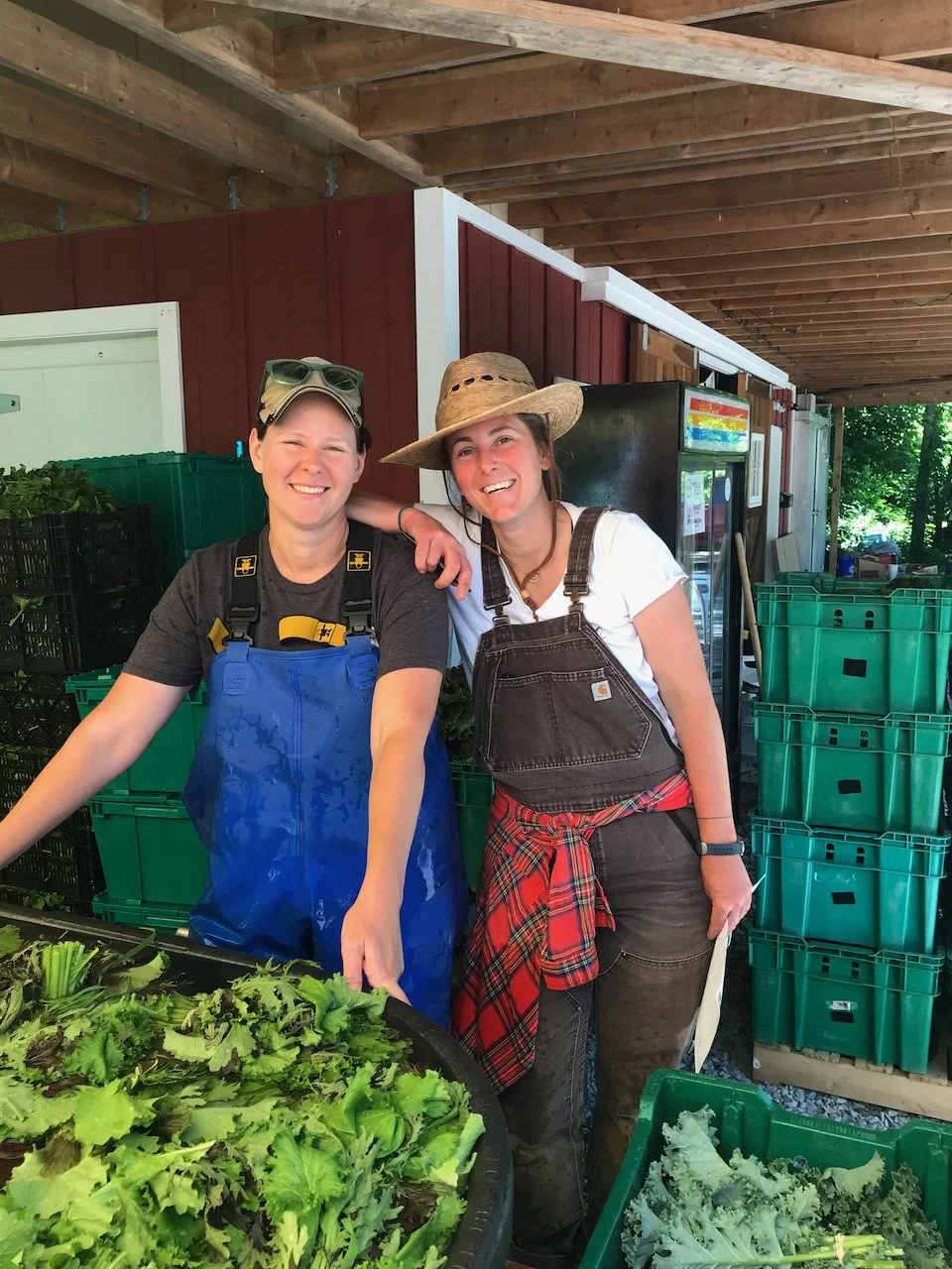 SNAP and HIP — Three Sisters