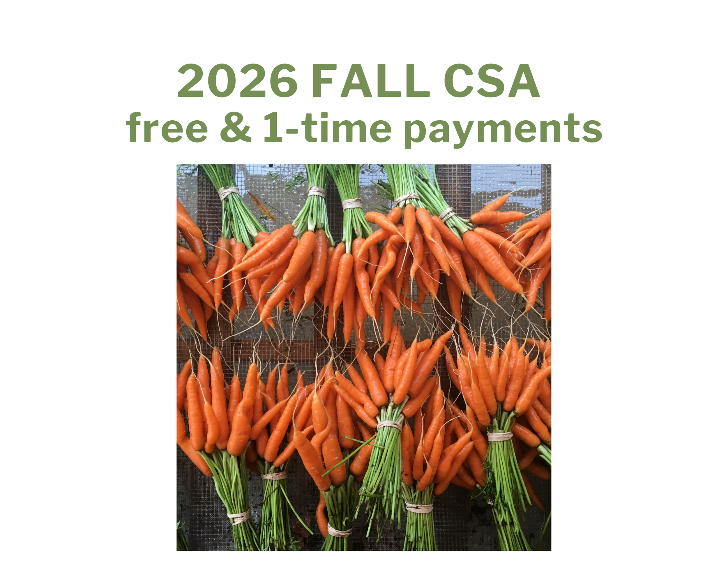 2026 Fall Share: Free + 1-time payments