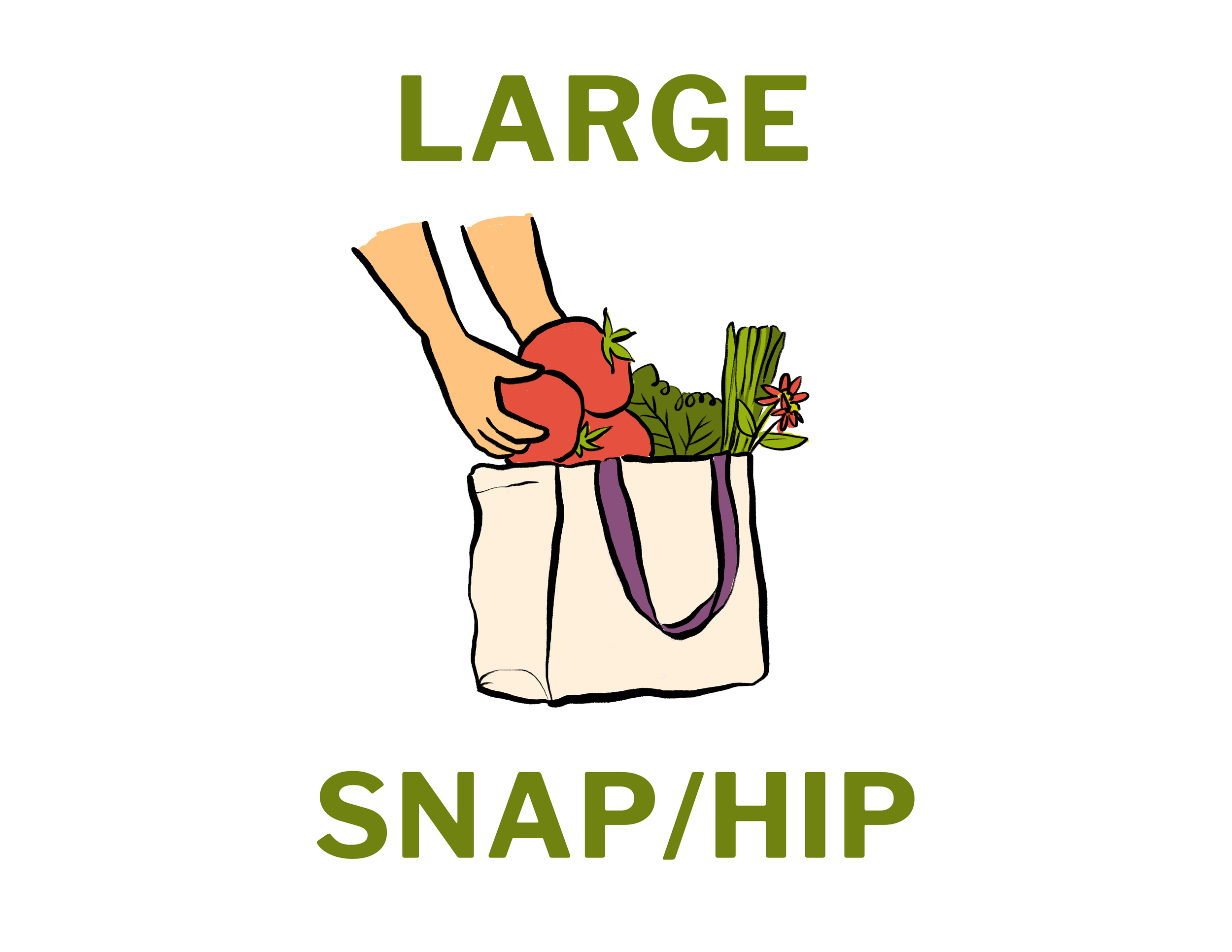 Large Summer CSA: SNAP