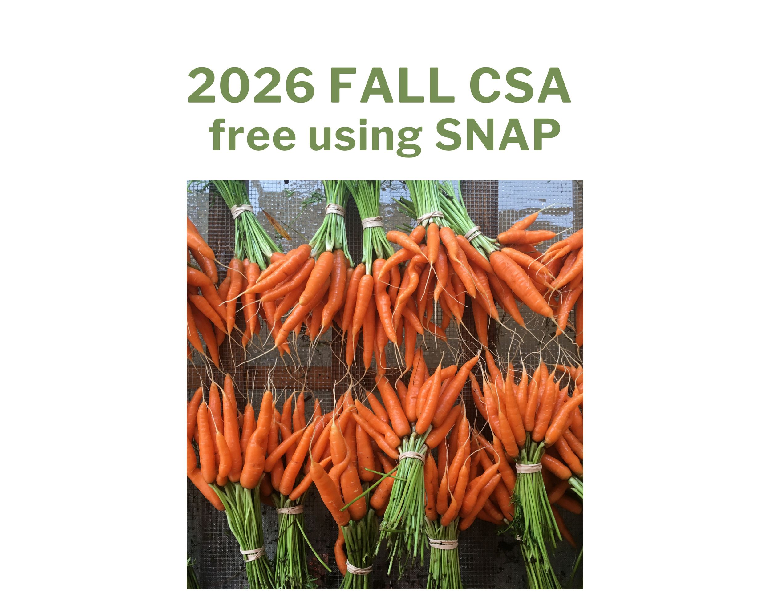 2026 Fall Share: SNAP