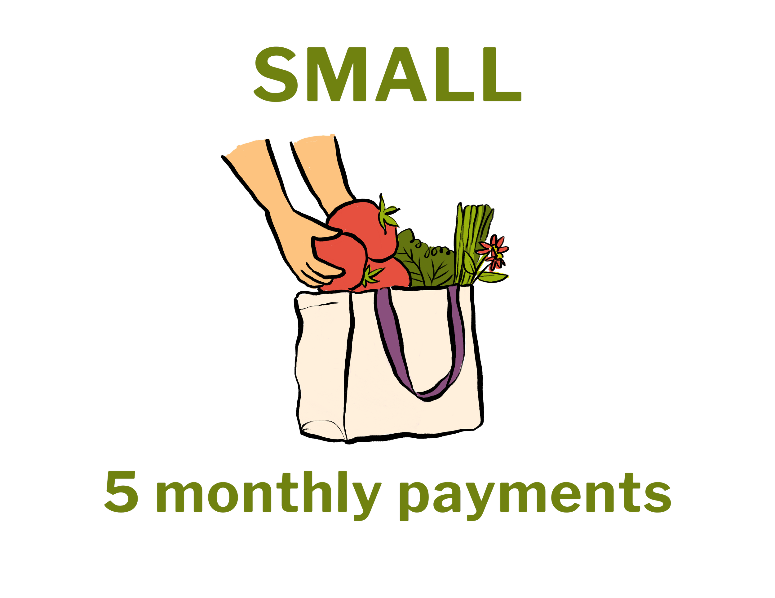 Small Summer CSA: Monthly Payments