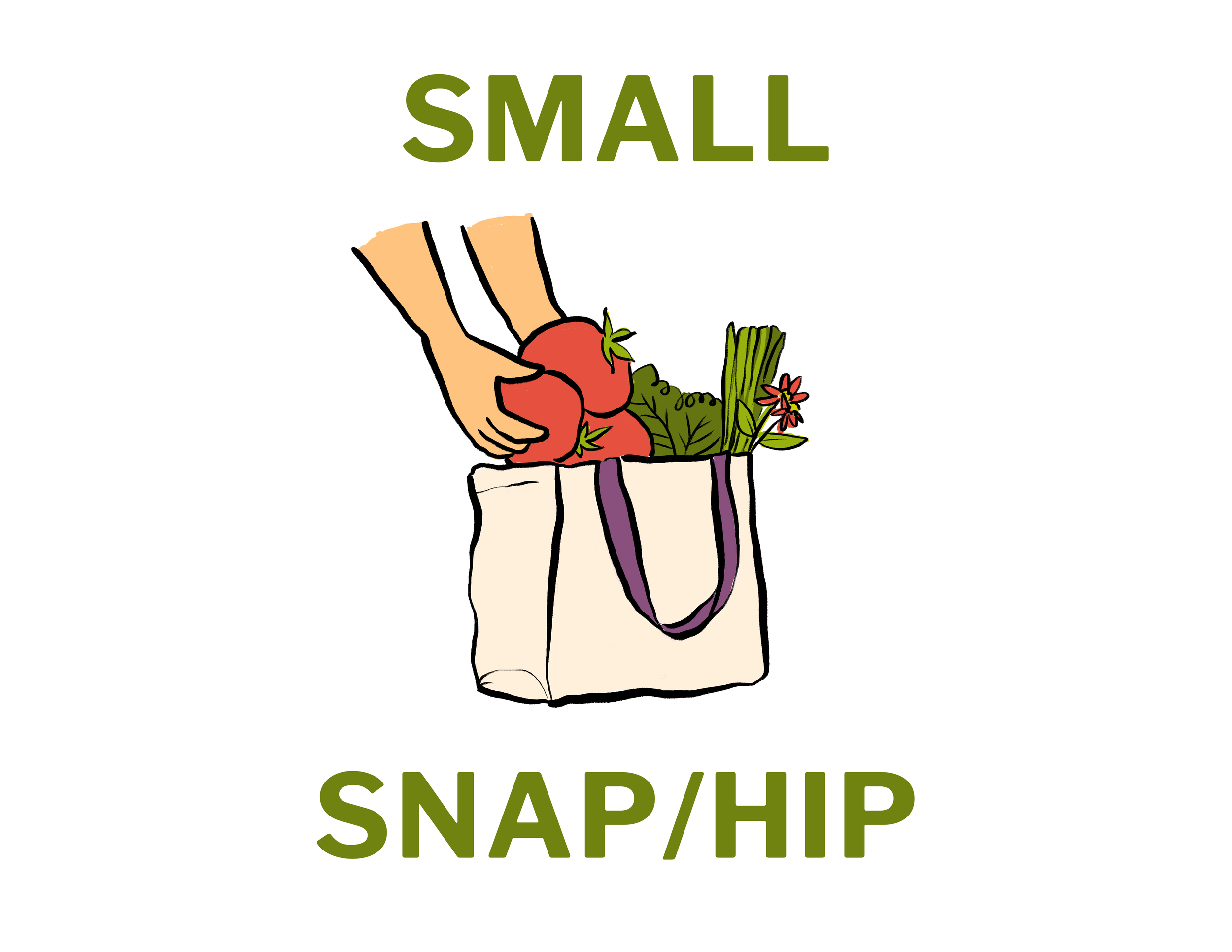 Small Summer CSA: SNAP/HIP