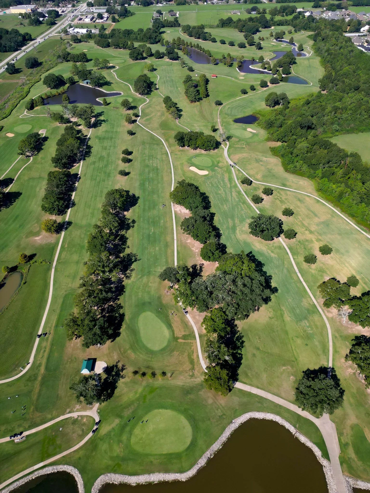 DJI_0519.jpg
