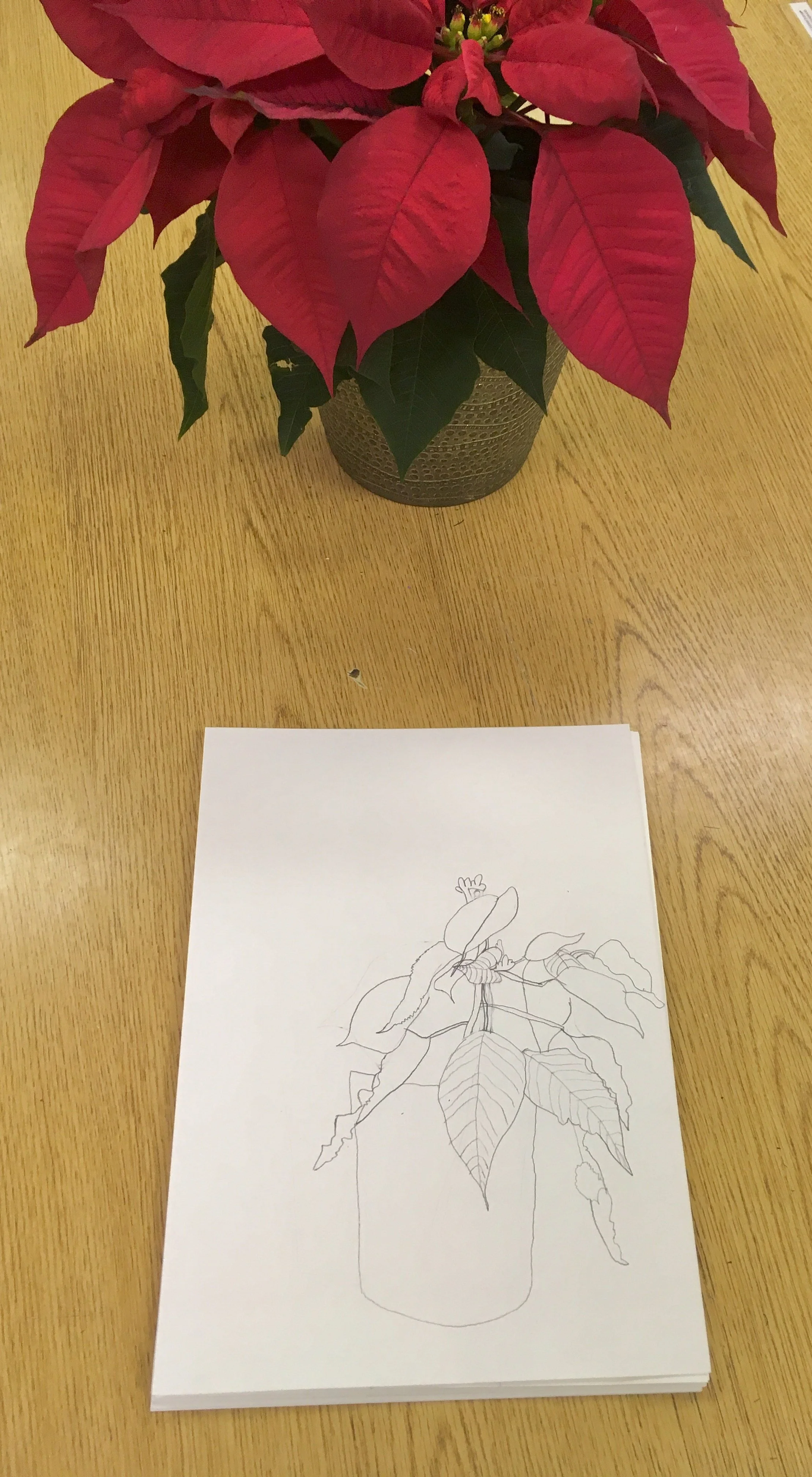 2nd: Contour Line Drawing