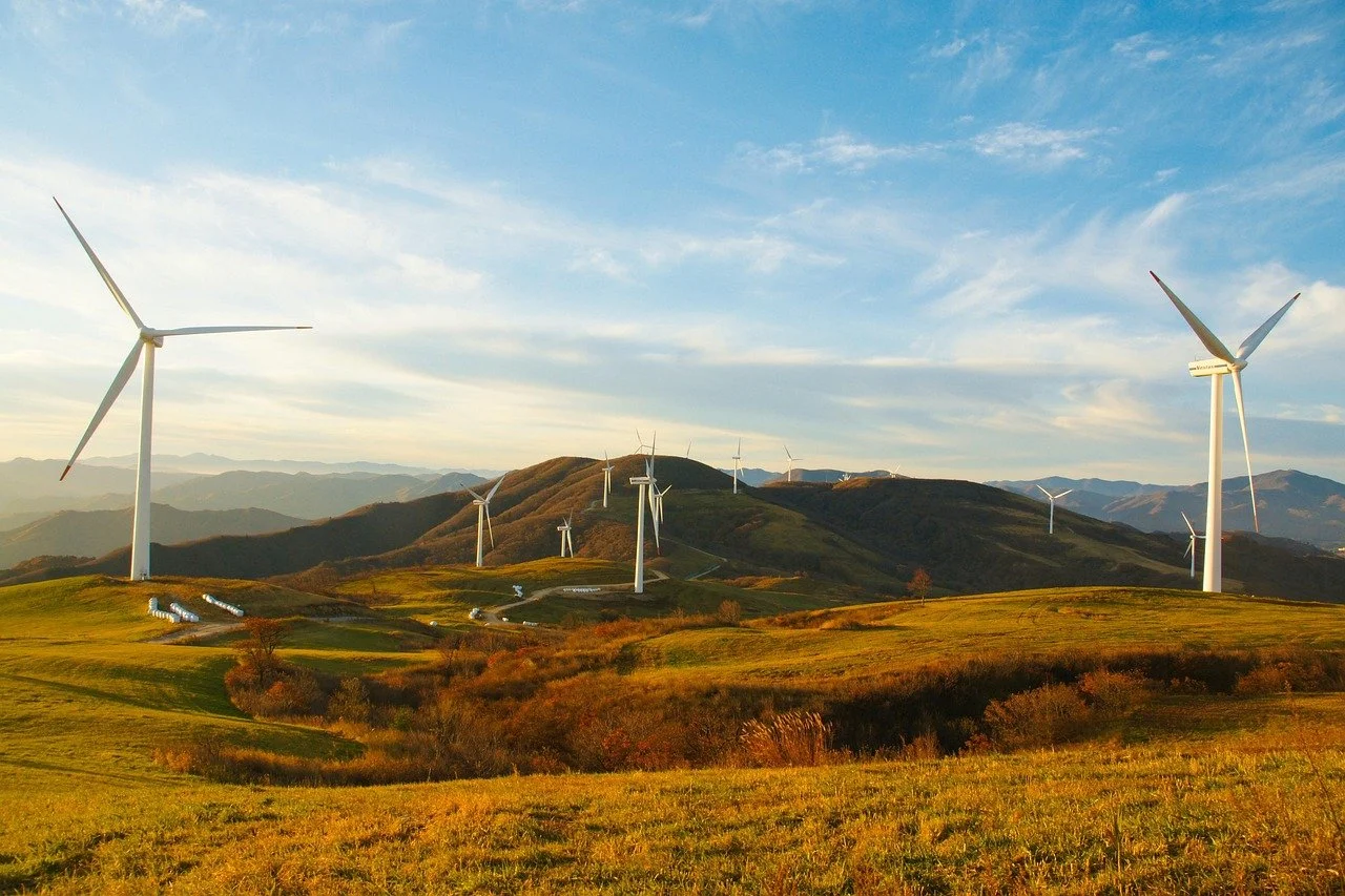 ACCC updates sustainability collaborations guide for business