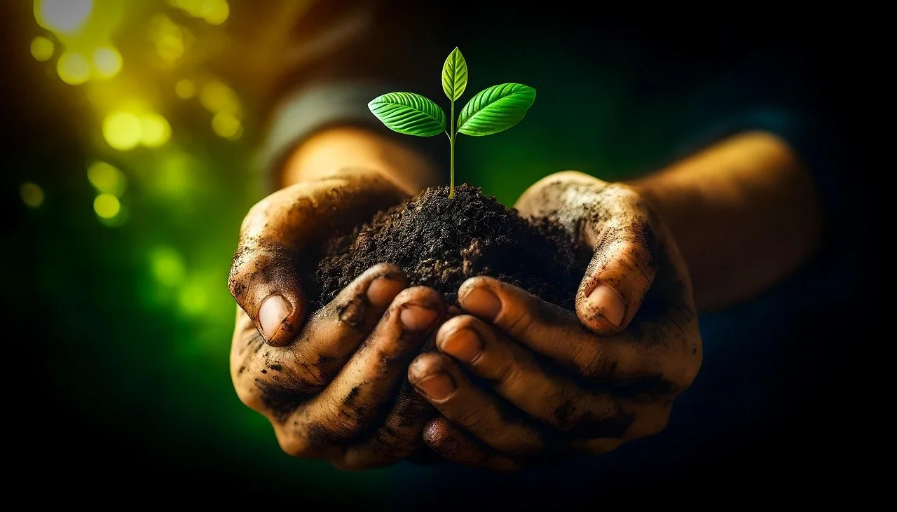 ACCC authorises collaboration on sustainable finance initiatives
