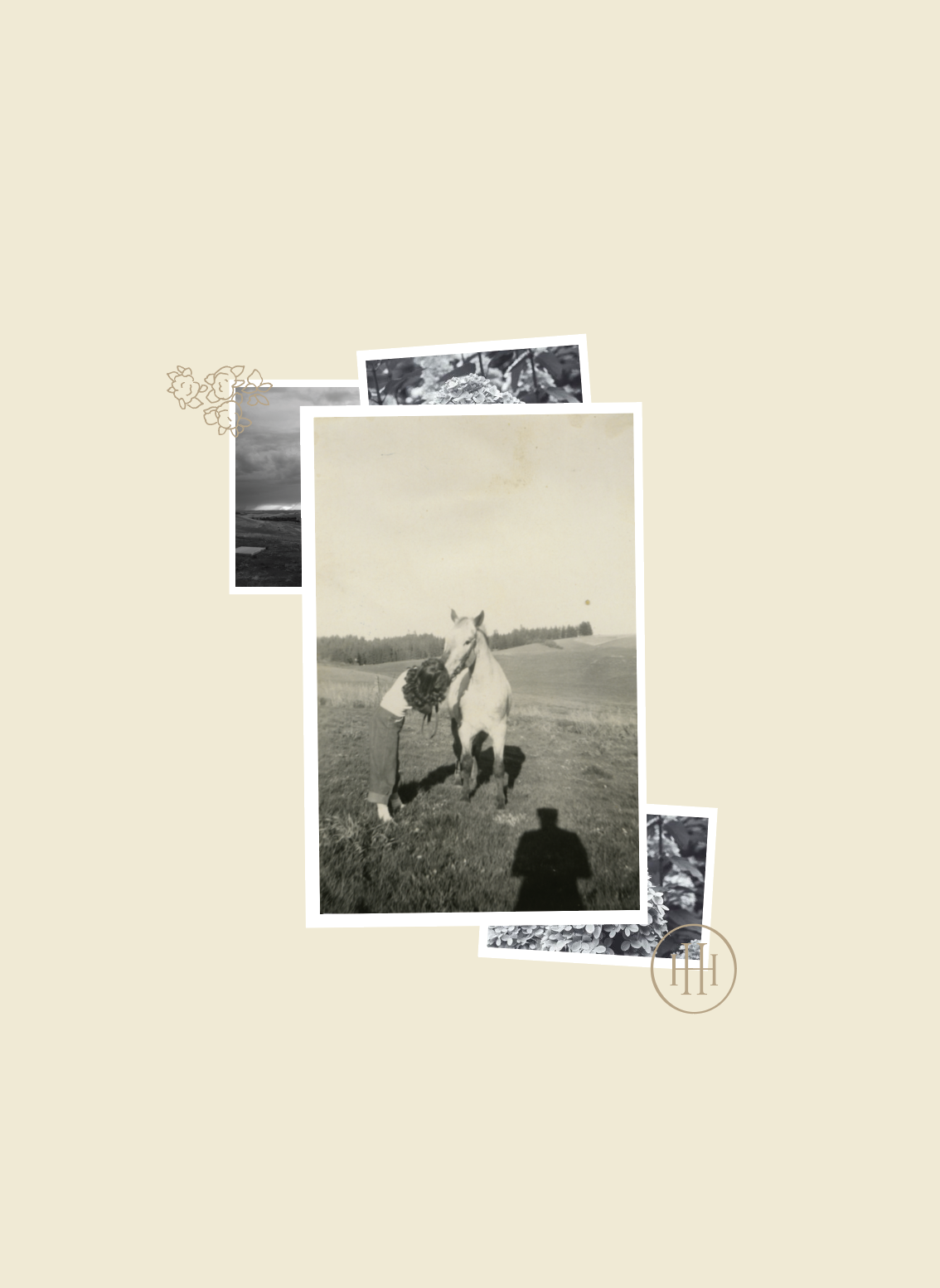 Screen Shot 2020-05-13 at 12.09.50 PM.png