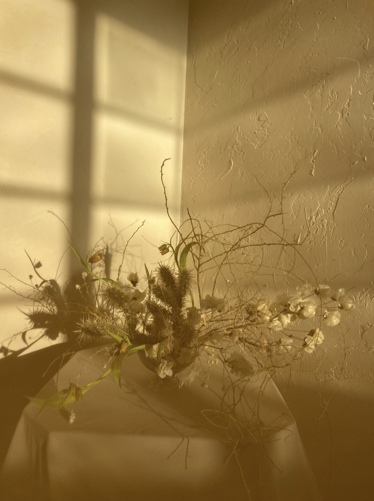 Screen Shot 2020-06-01 at 1.55.14 PM.png