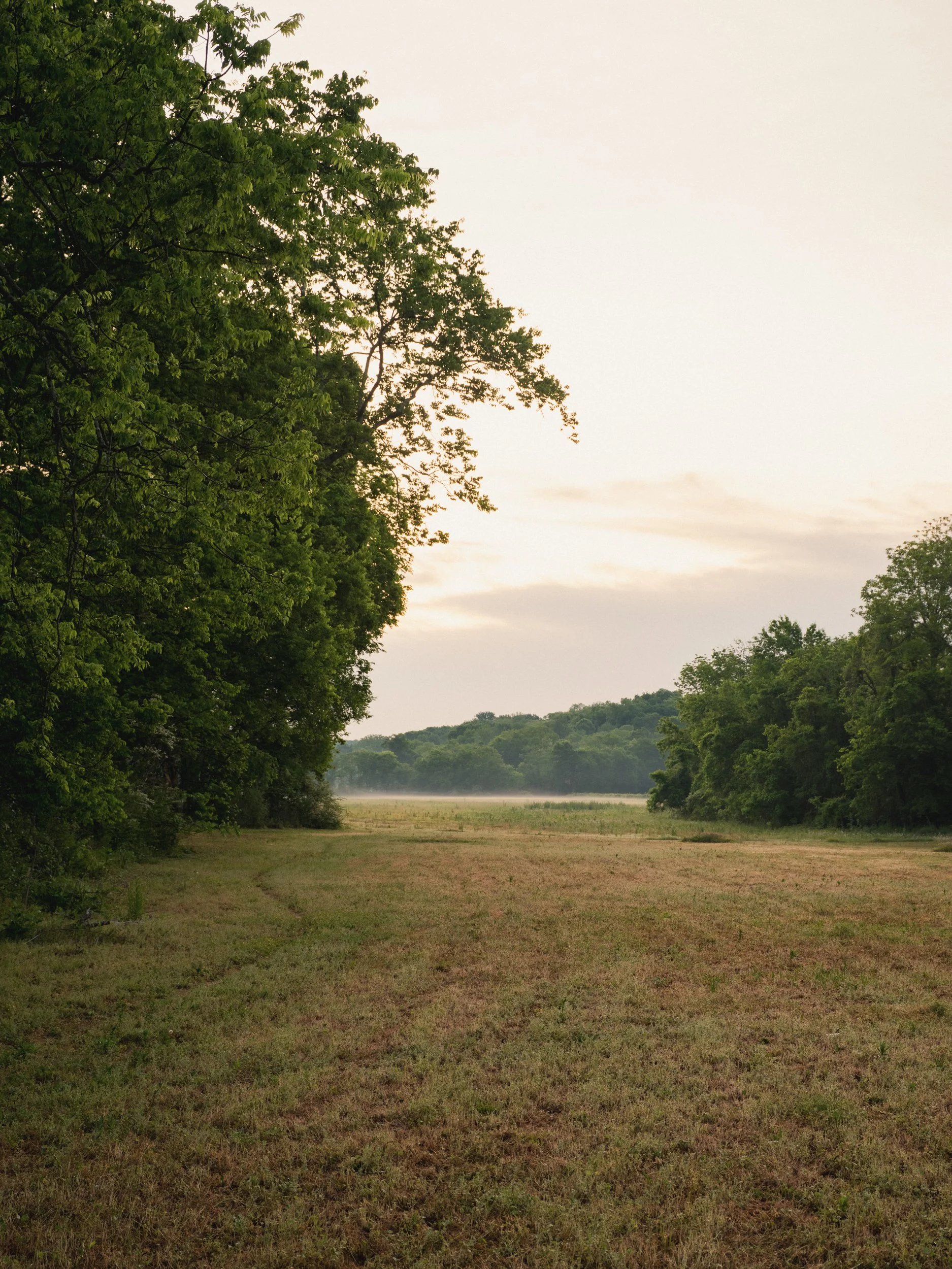 Chestnut Low-06.jpg
