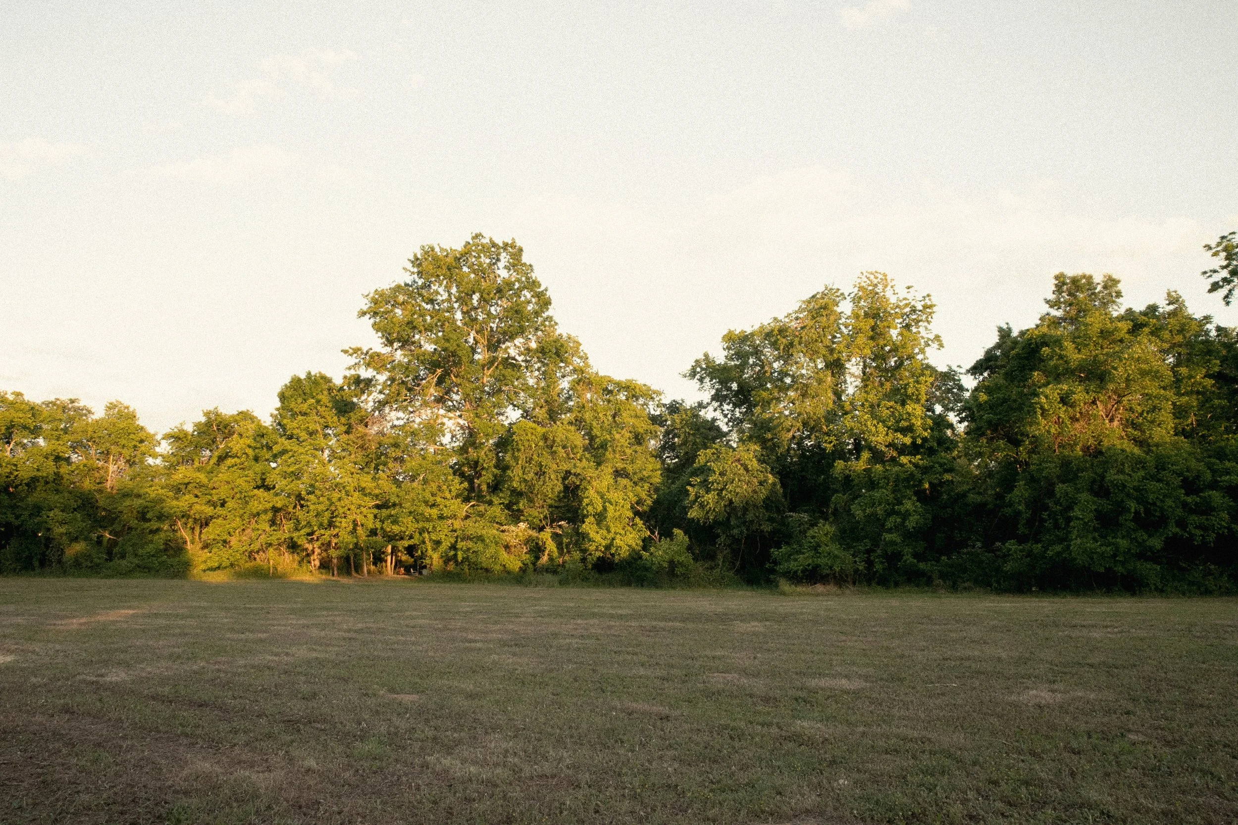 Chestnut Low-23.jpg