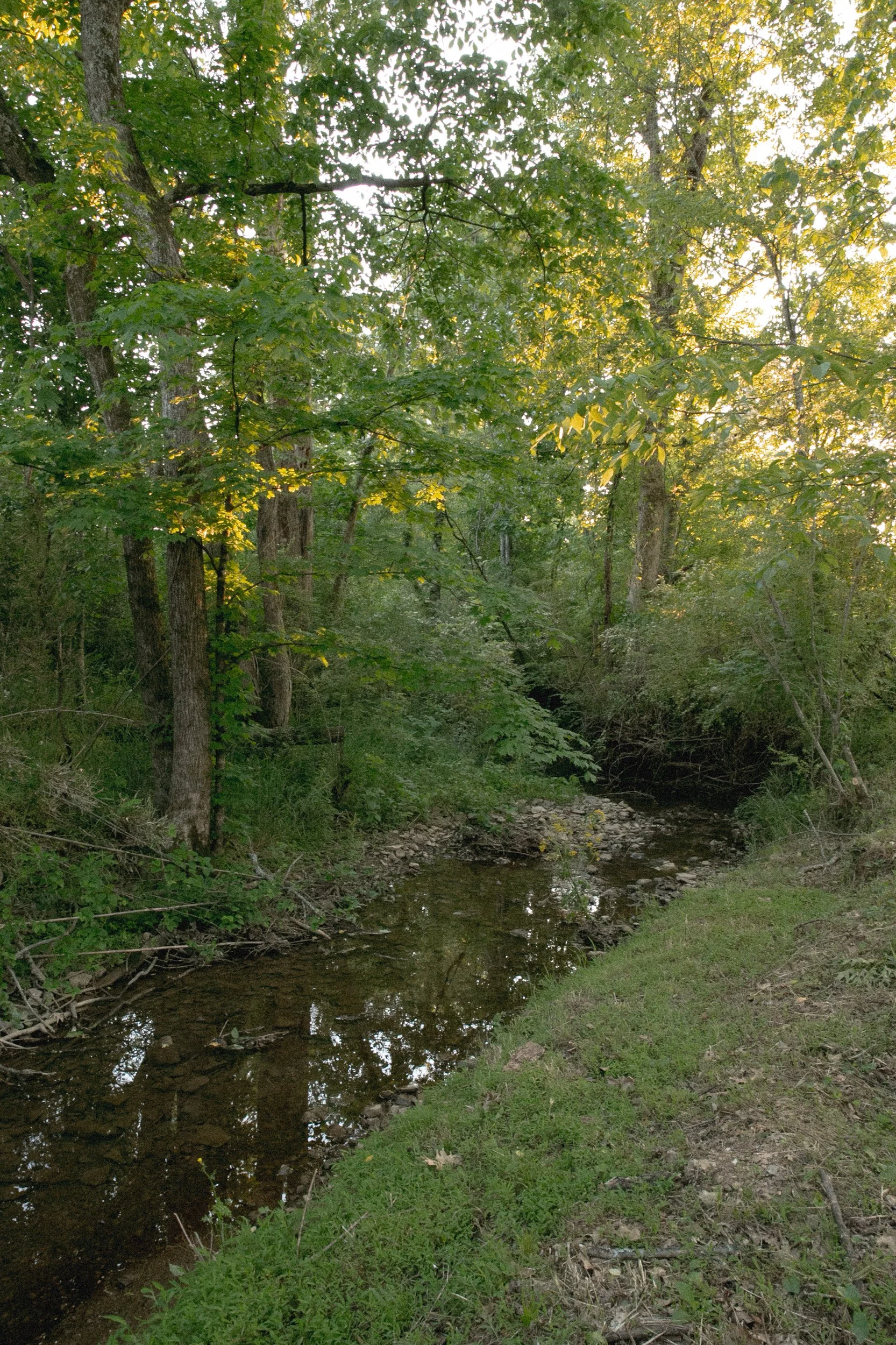 Chestnut Low-24.jpg