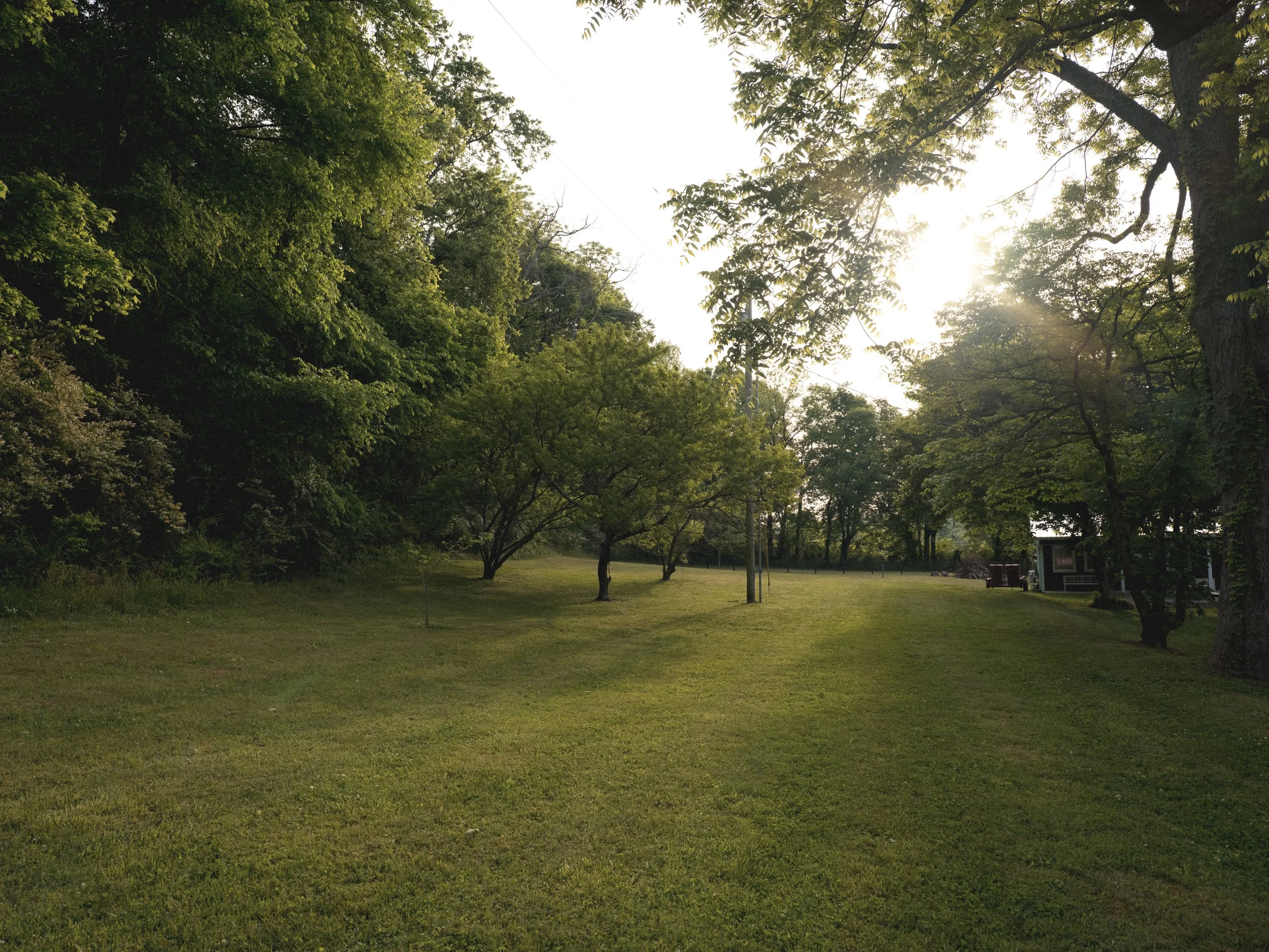 Chestnut Low-25.jpg