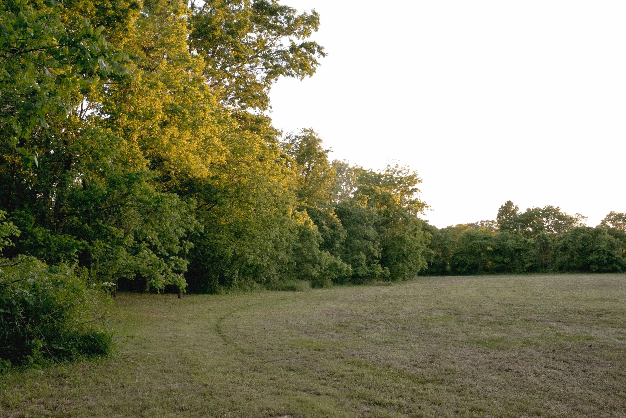 Chestnut Low-27.jpg
