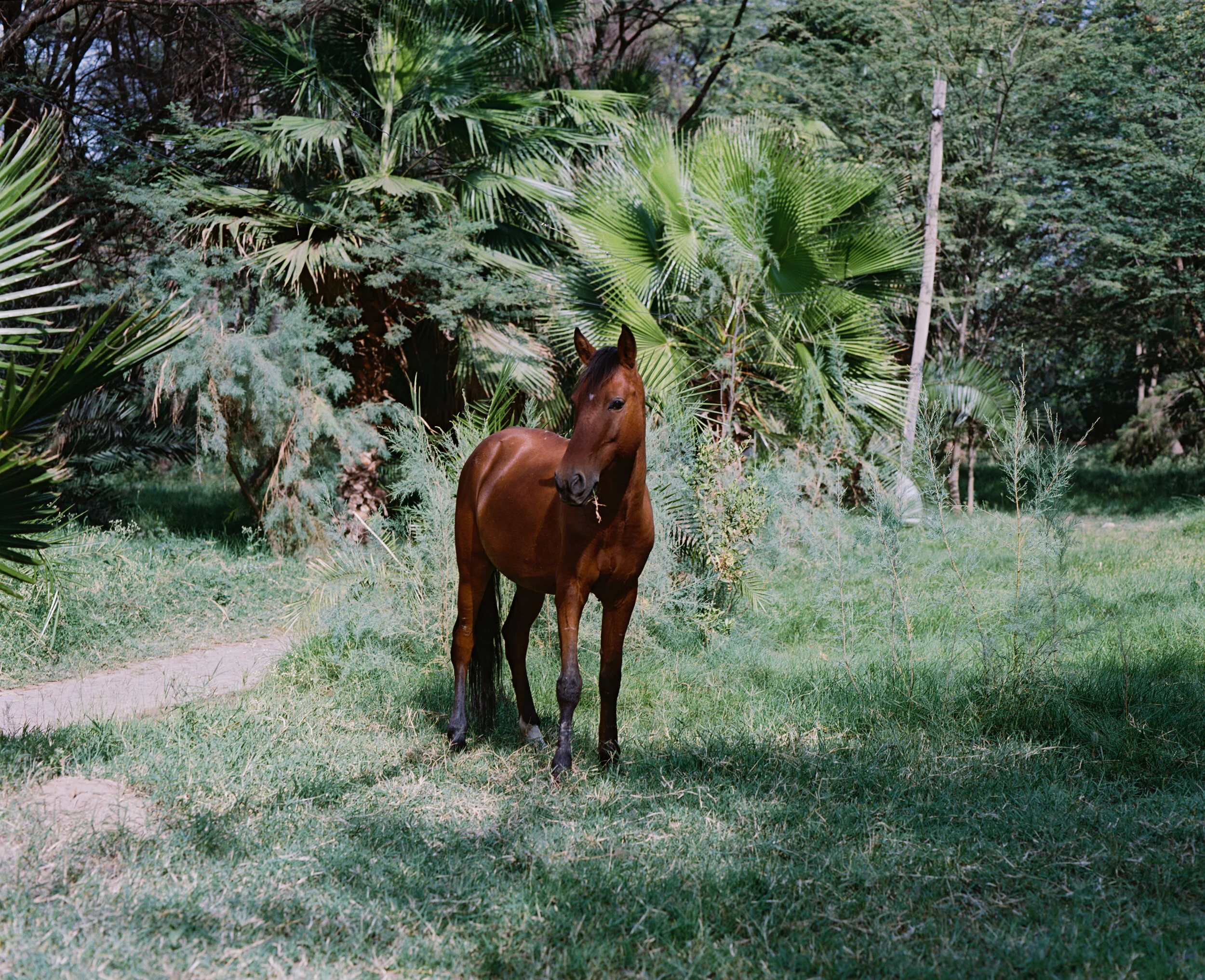 arkie92-062.jpg
