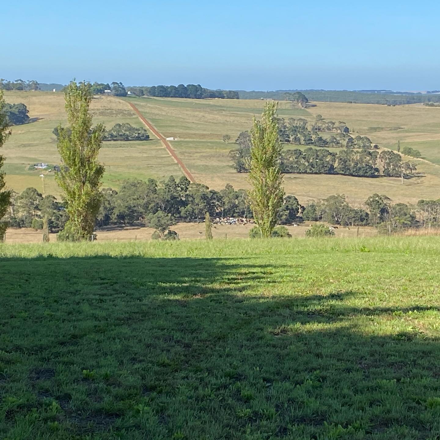 Come explore your inner landscape Monday 5pm and 630pm. Go to web page yogawithdonnaog.com.au