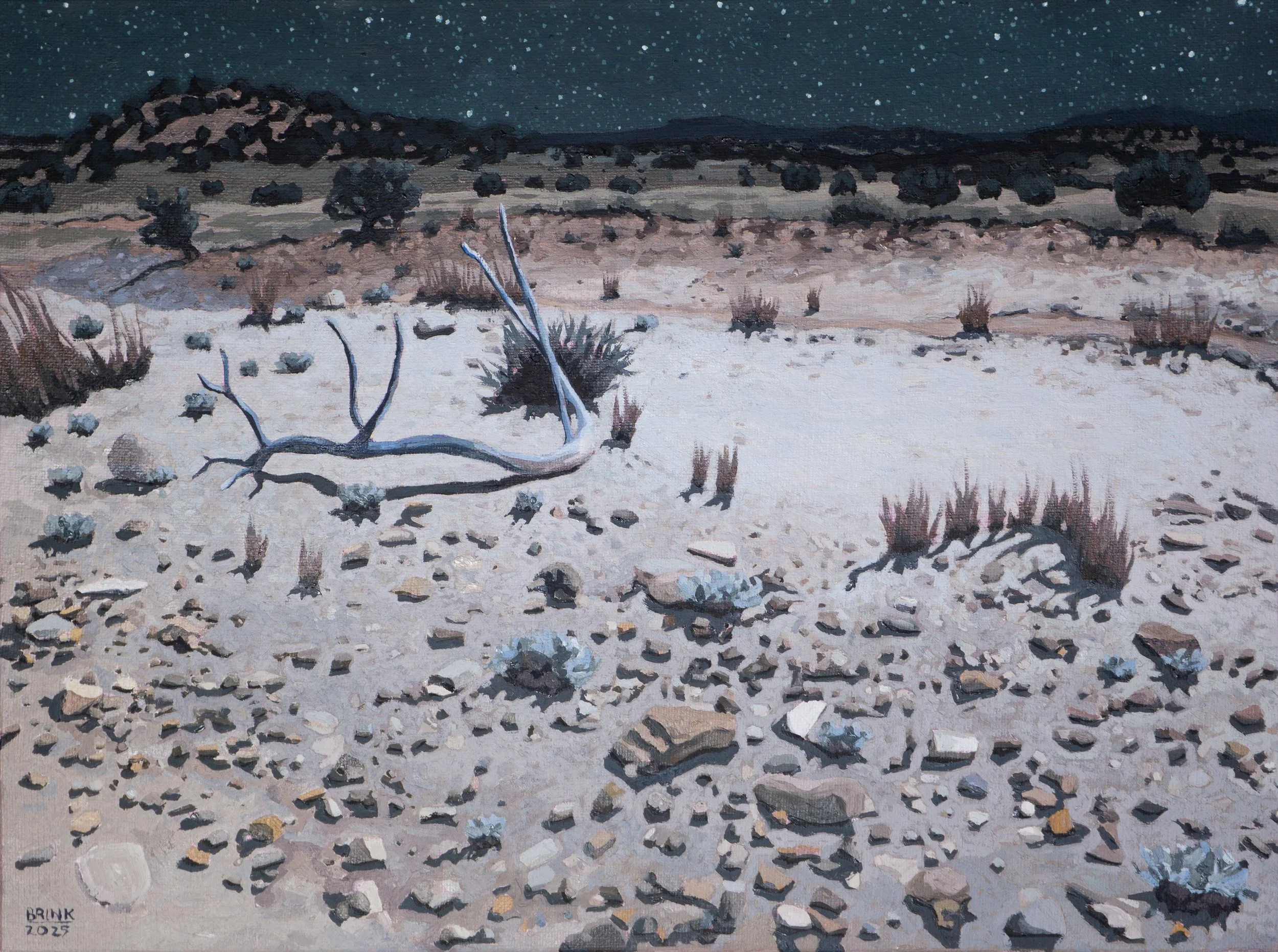 "moonlit basin"  12x16  oil/linen  2025