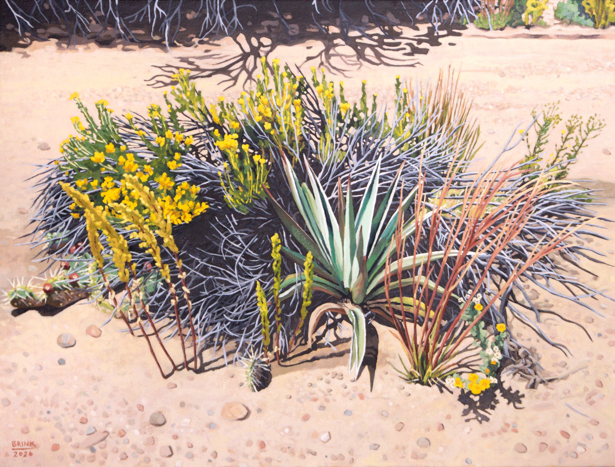 "arroyo 6 - island time"   18x24  oil/canvas   2026   (SOLD)