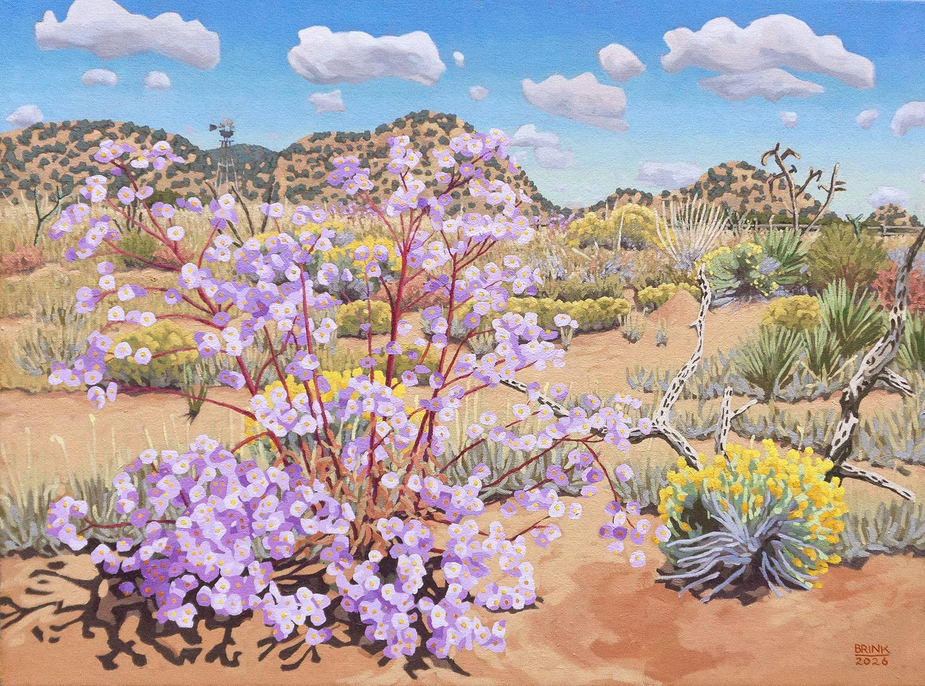 "Santa Fe County 1 - reef"   18x24   oil/canvas   2026