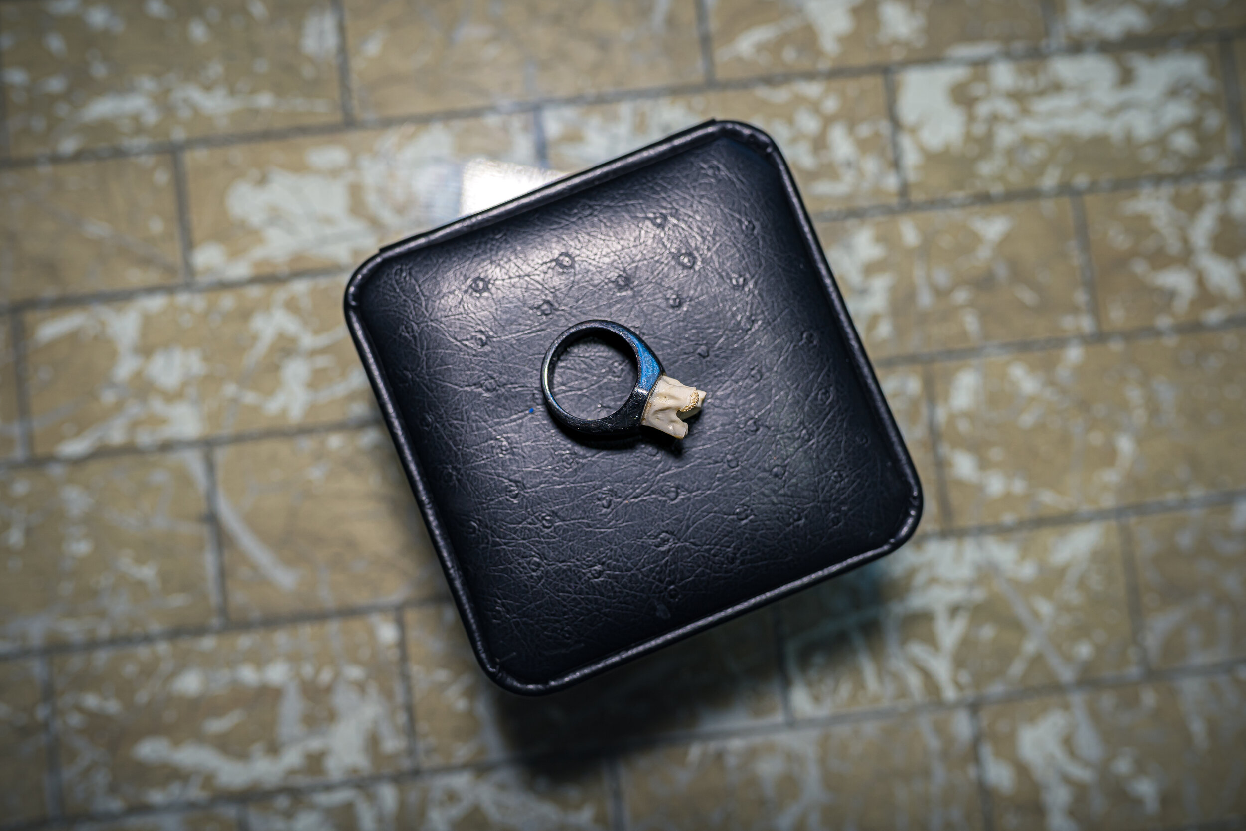 The Rattler Vertebrae Ring