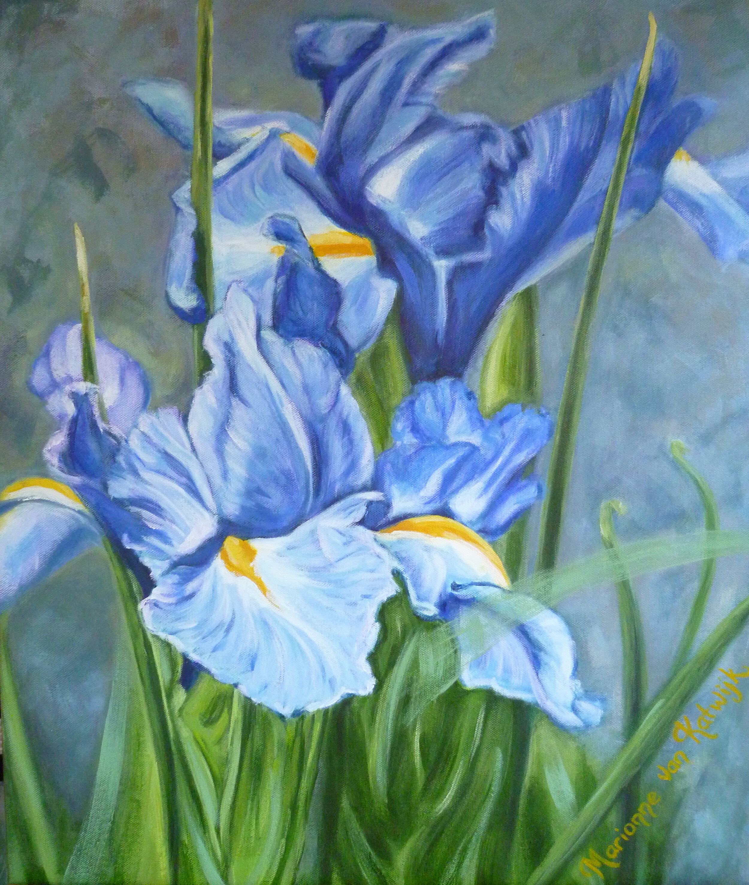 Irises.jpg