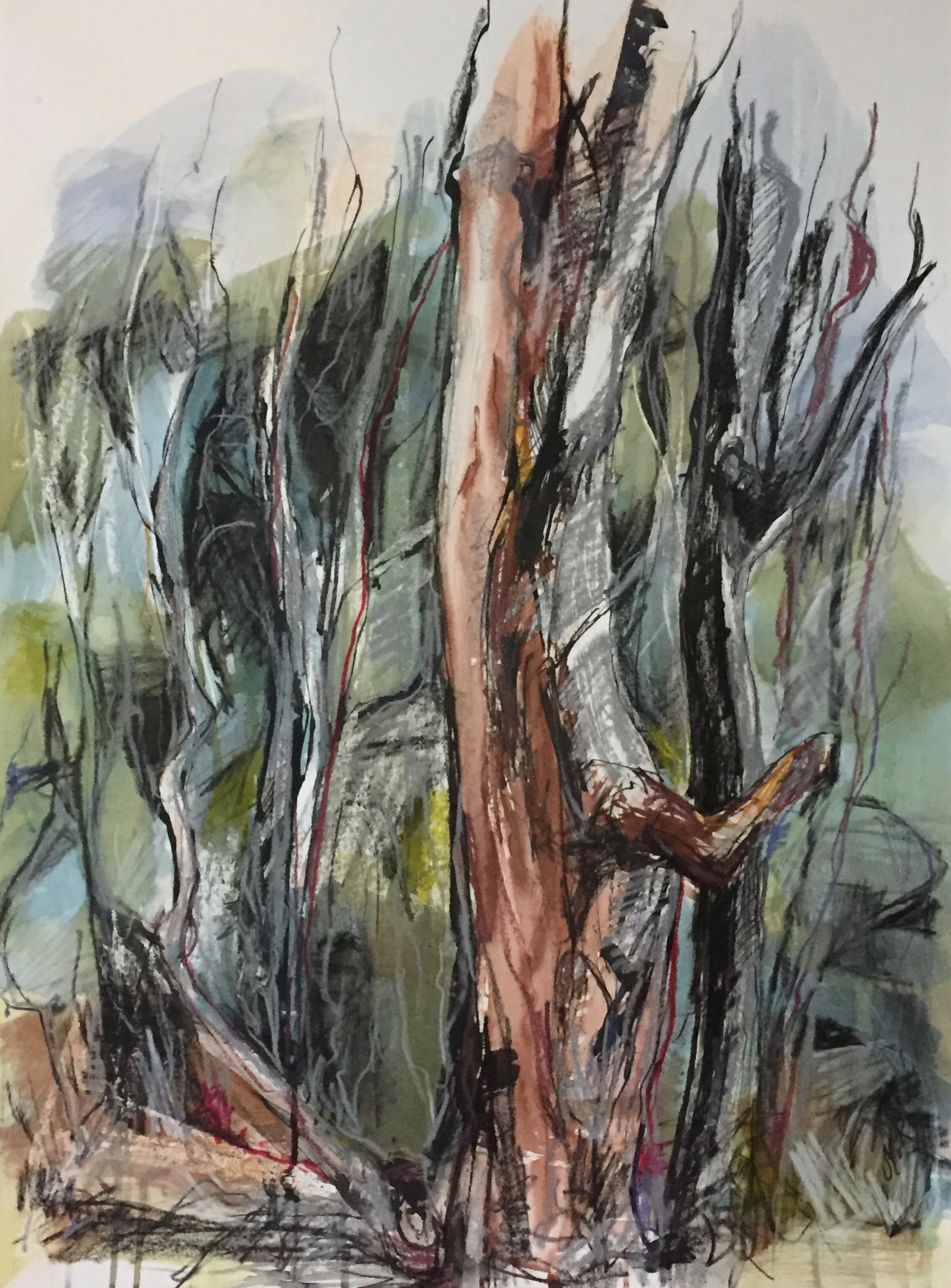 tree study 5.jpg