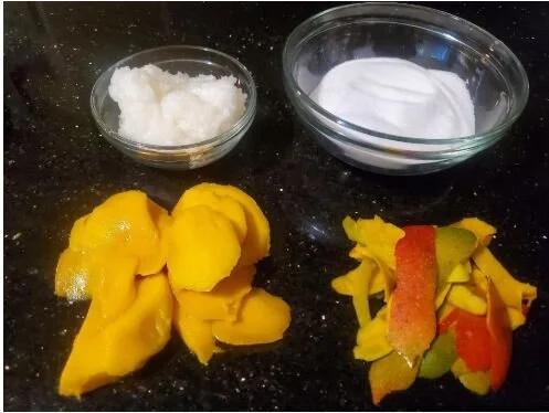 mango ingredients.JPG
