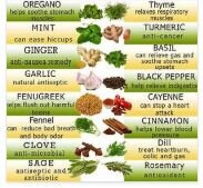 healing herbs.JPG
