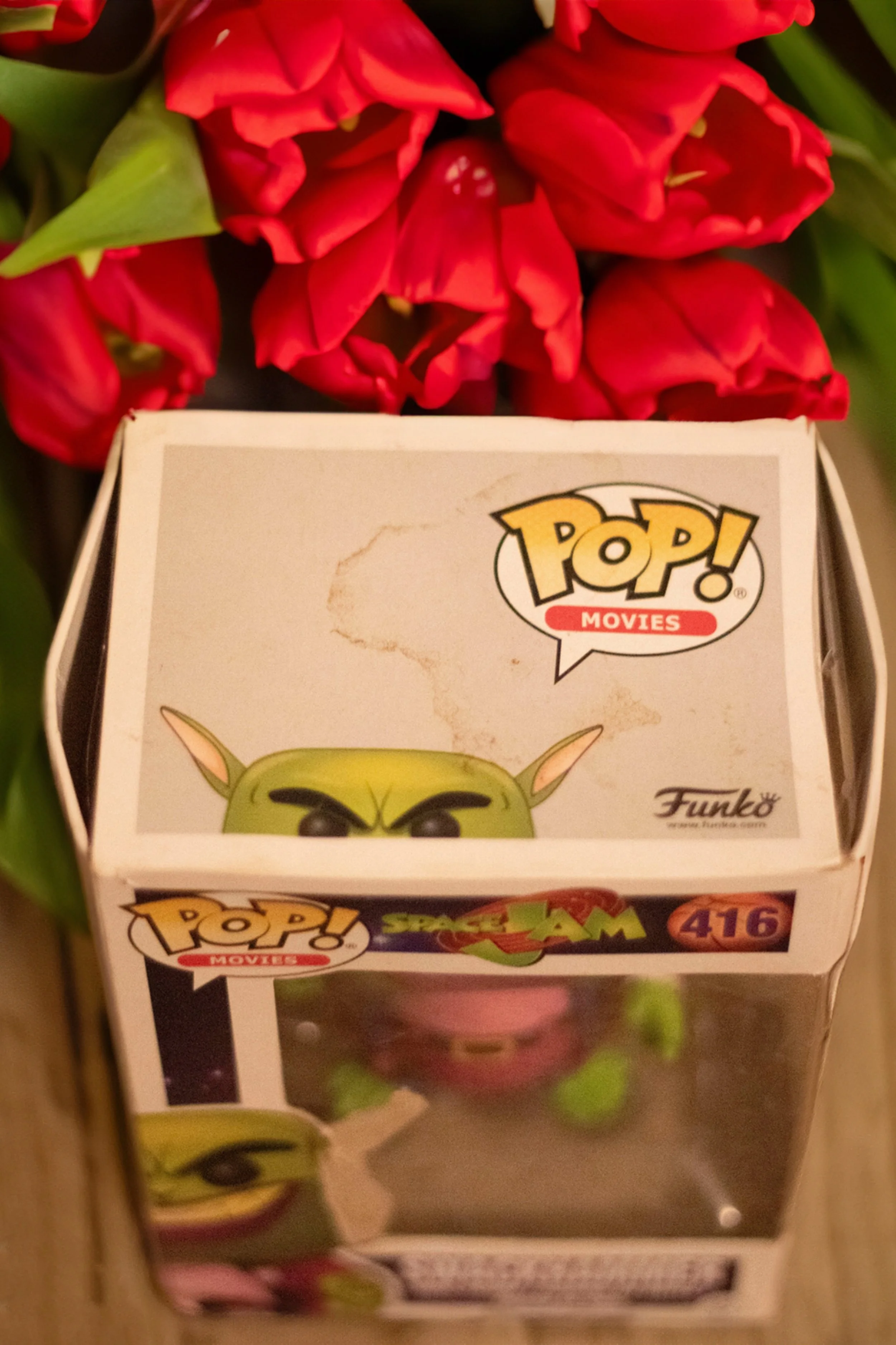 Firefly 20230908234936 copy.jpg