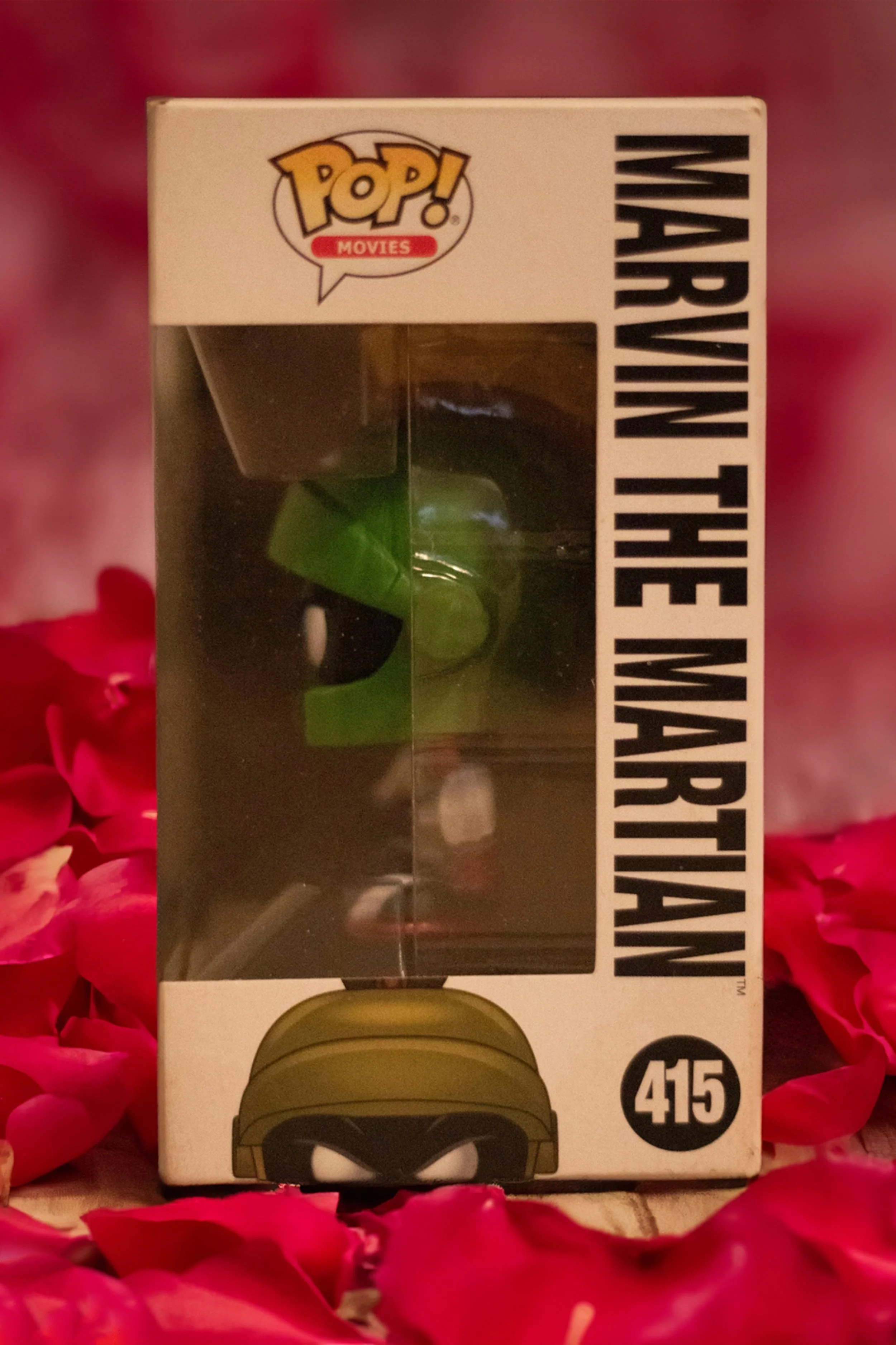 Firefly 20230908232724 copy.jpg