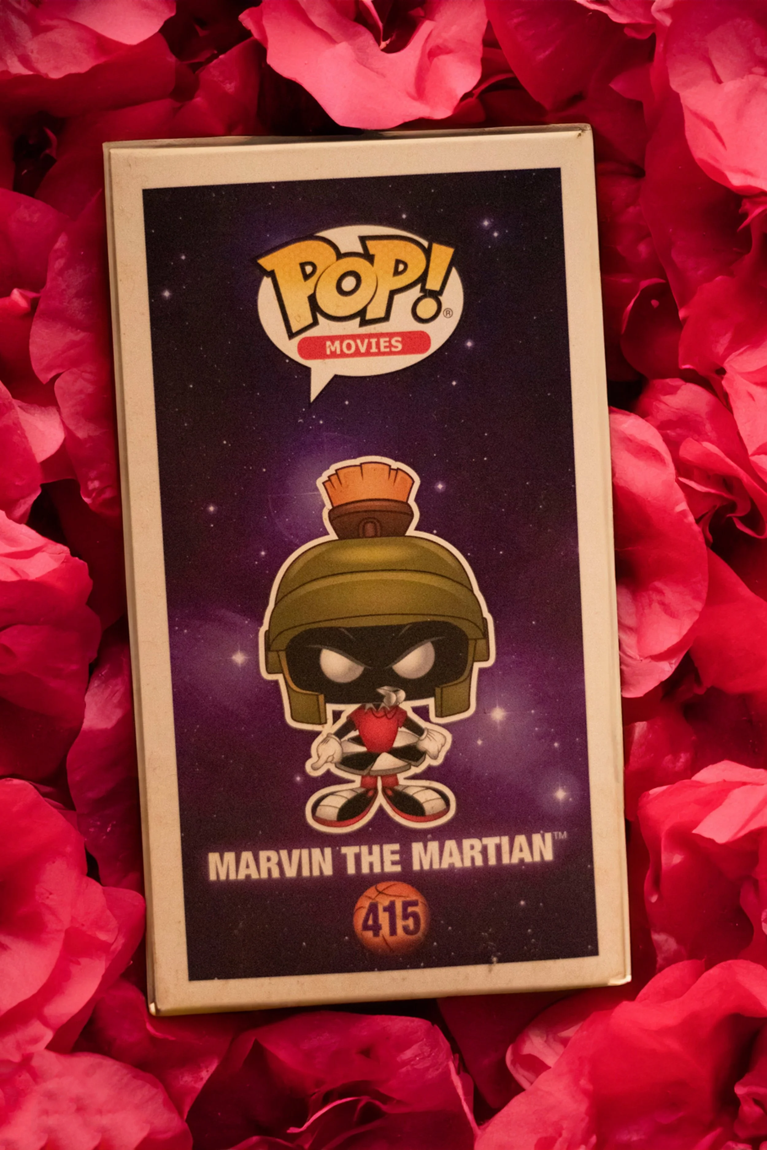 Firefly 20230908232932 copy.jpg