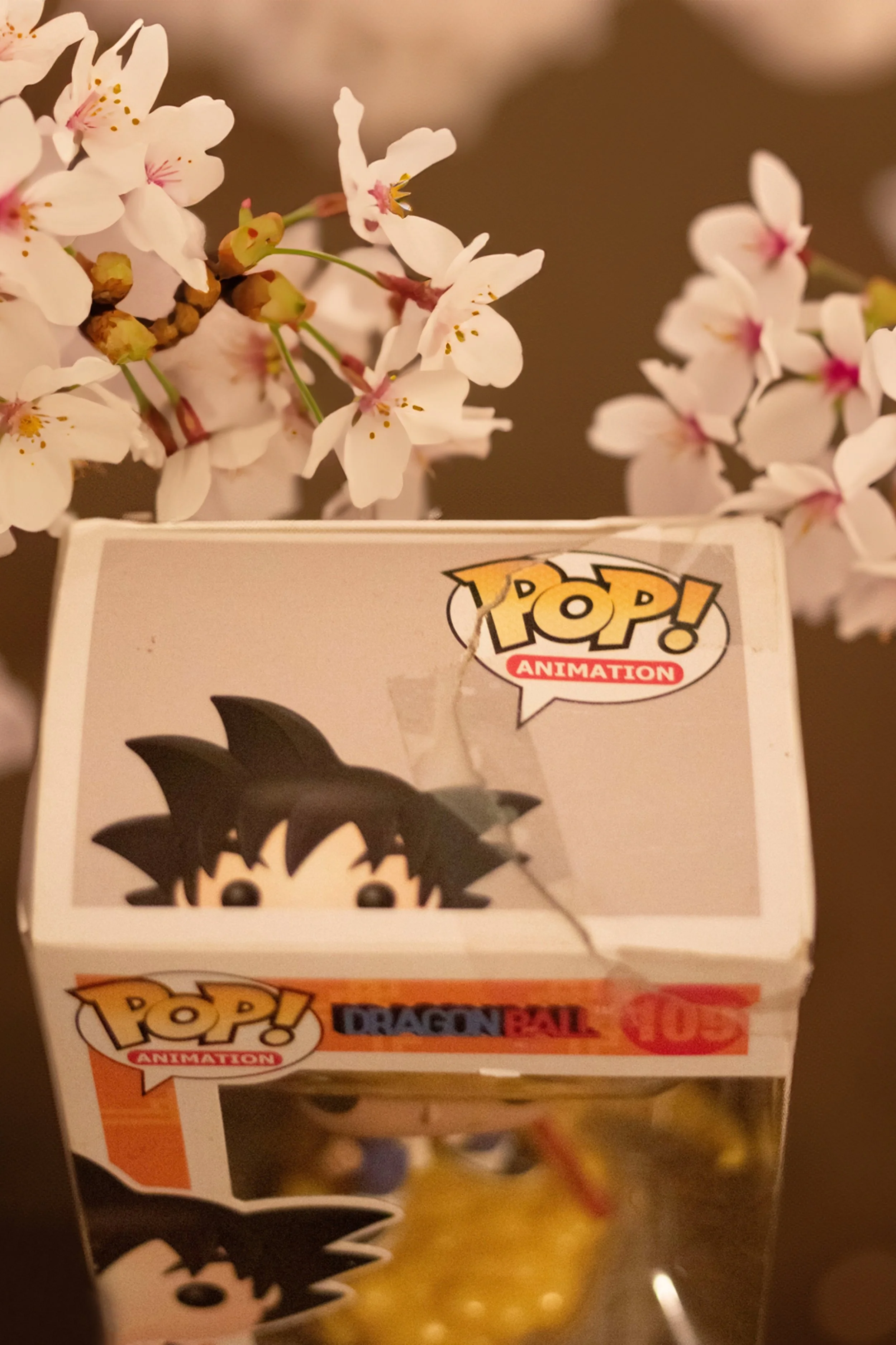 Firefly 20230908033829 copy.jpg