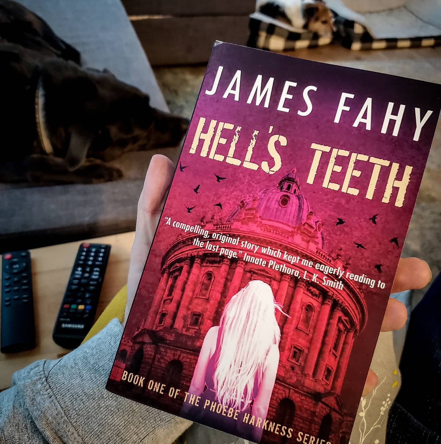 Been wanting to get my hands on this one for a while! If @jamesfahyauthor is half as good of a writer as he is a nice of a guy then this book will be amazing!