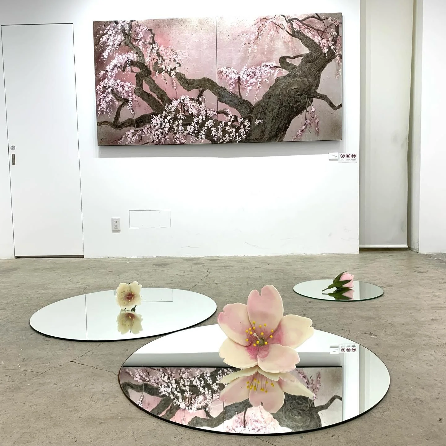 こんにちは、並樹画廊の藤井です🦭

今週の個展は
遠山悦子個展　巡回展「さくらを追ってvol.25」
2026年5月6日(水)〜11日(月)
11:00〜18:00(最終日15:00まで)
並樹画廊
東京都中央区京橋2-7-12
です🌸

1階ではインスタレーションをメインに大きめの絵画作品の展示を行っており、2階では小作品の展示を行っております。

ぜひお越しくださいませ🌸

#個展 #京橋 #exhibition #画廊 #gallery