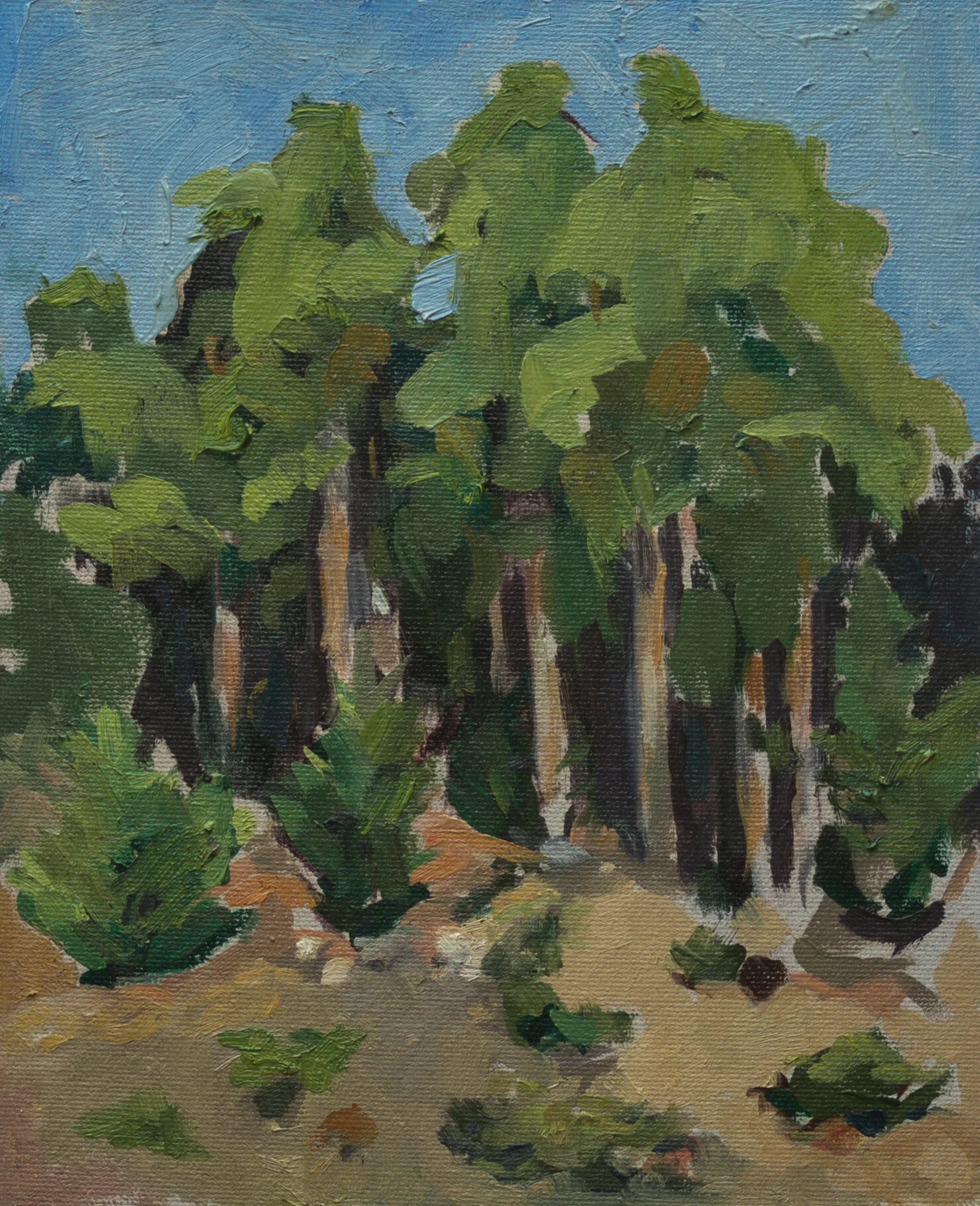 Lauren Gabor Tree Study 2.jpeg