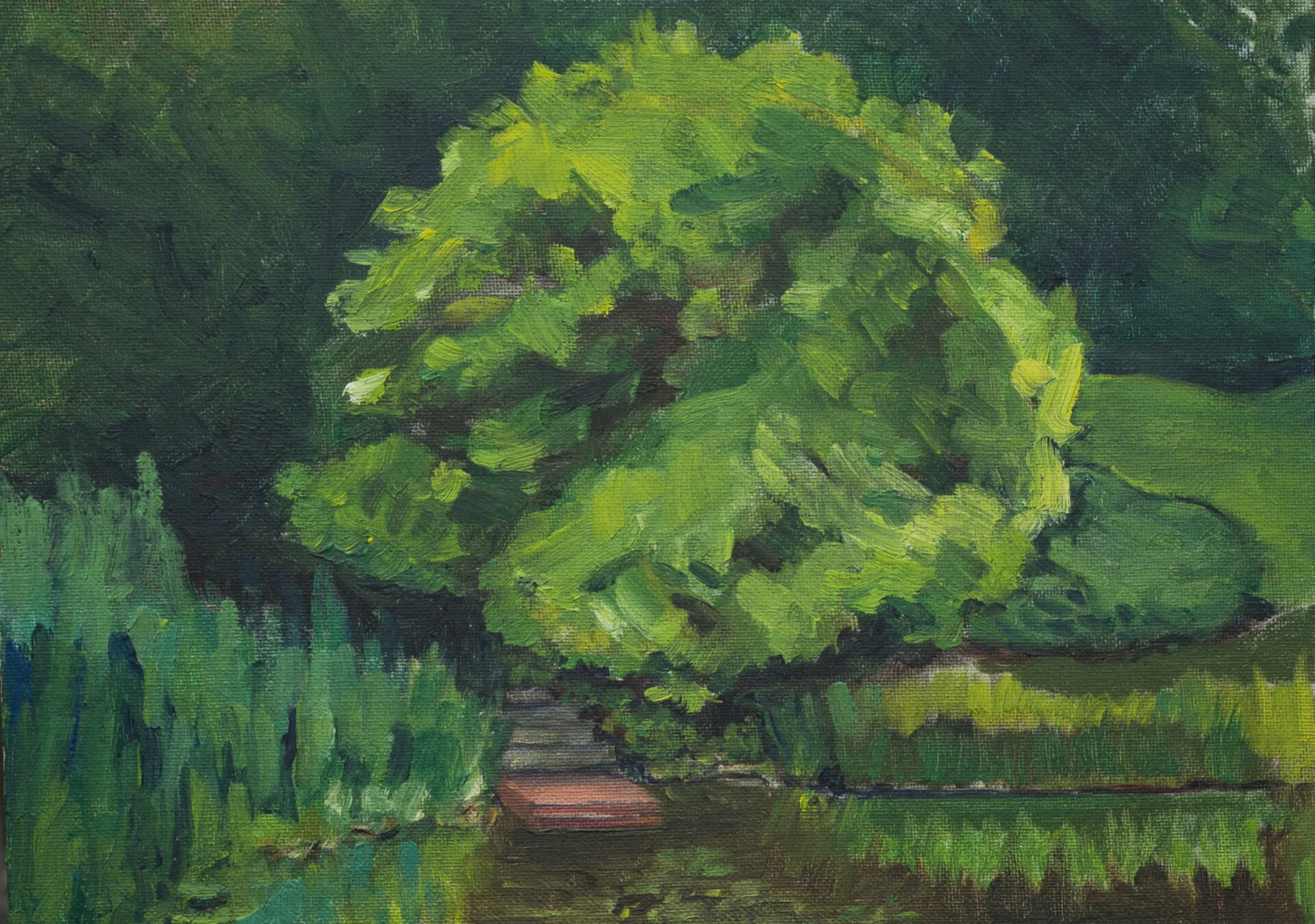 Lauren Gabor Tree Study.jpeg