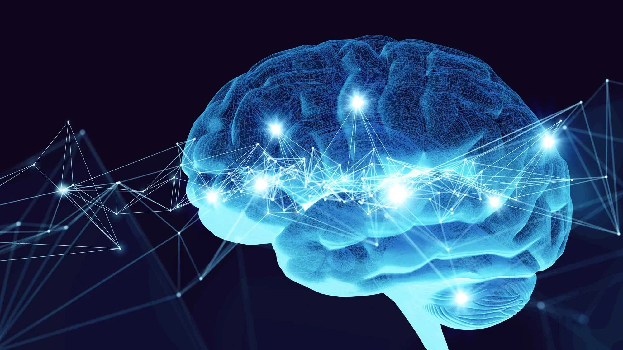 brain.jpg