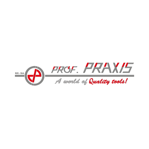 Logo praxis tools.png