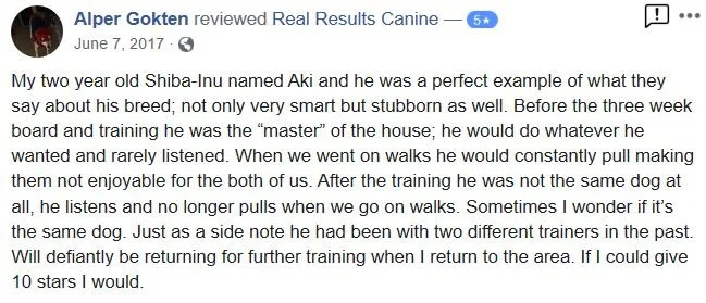 Dog training review
