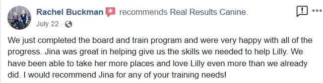 Dog trainer review