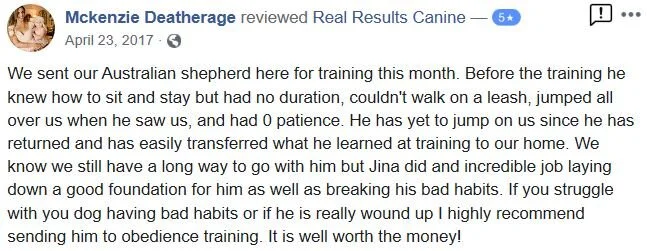 Dog trainer review