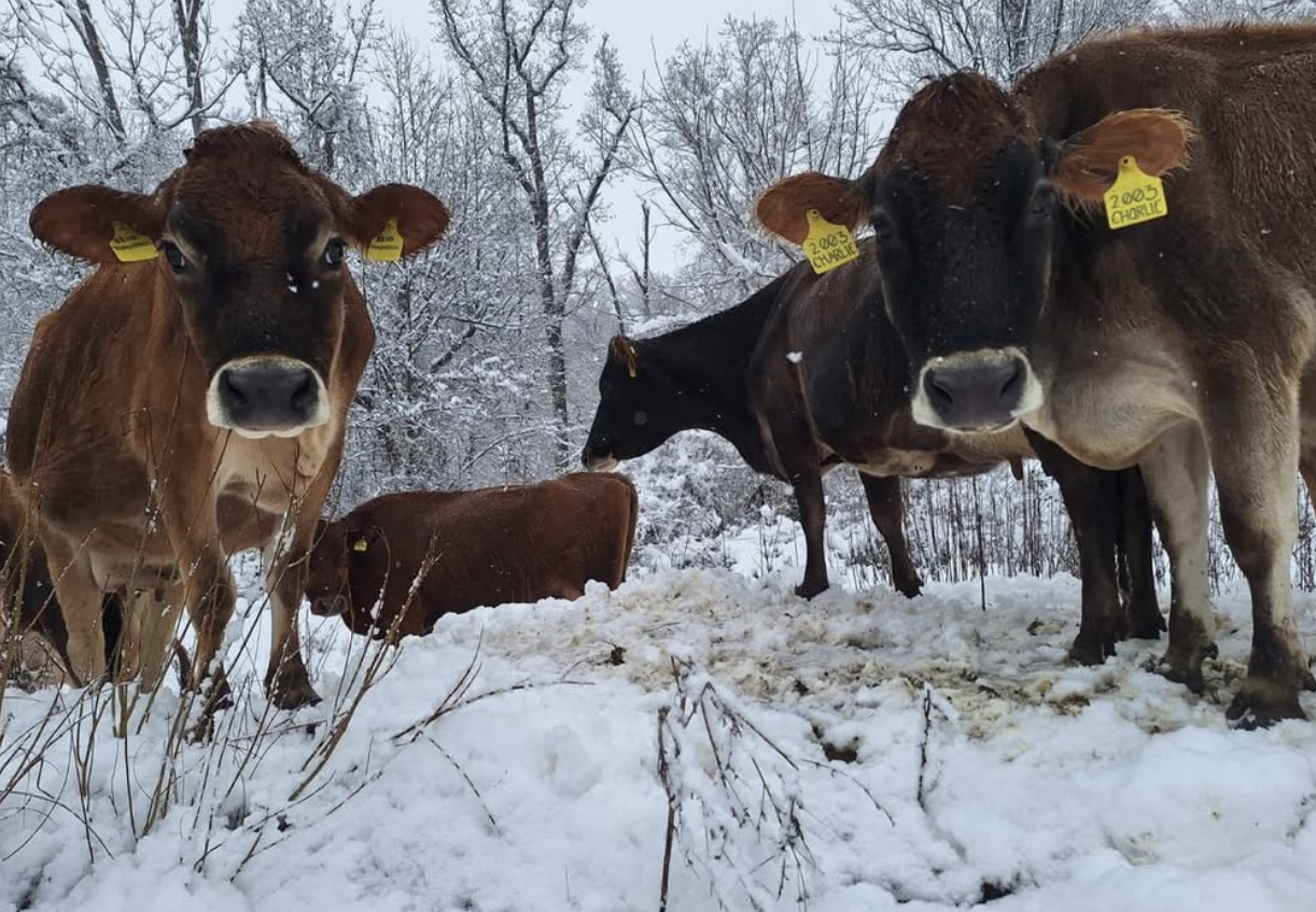 Screen Shot 2026-03-25 at 9.16.09 AM.png