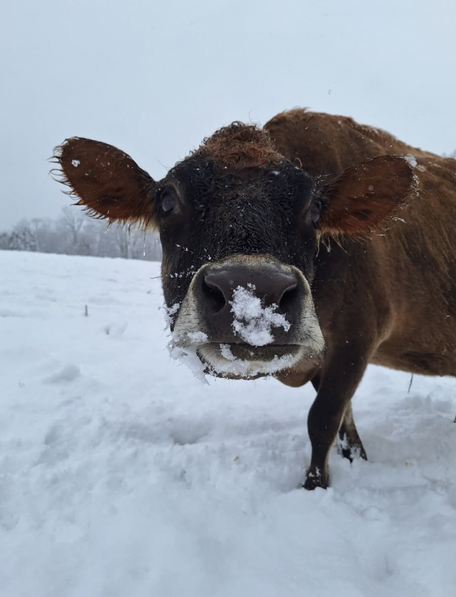 Screen Shot 2026-03-25 at 9.16.26 AM.png