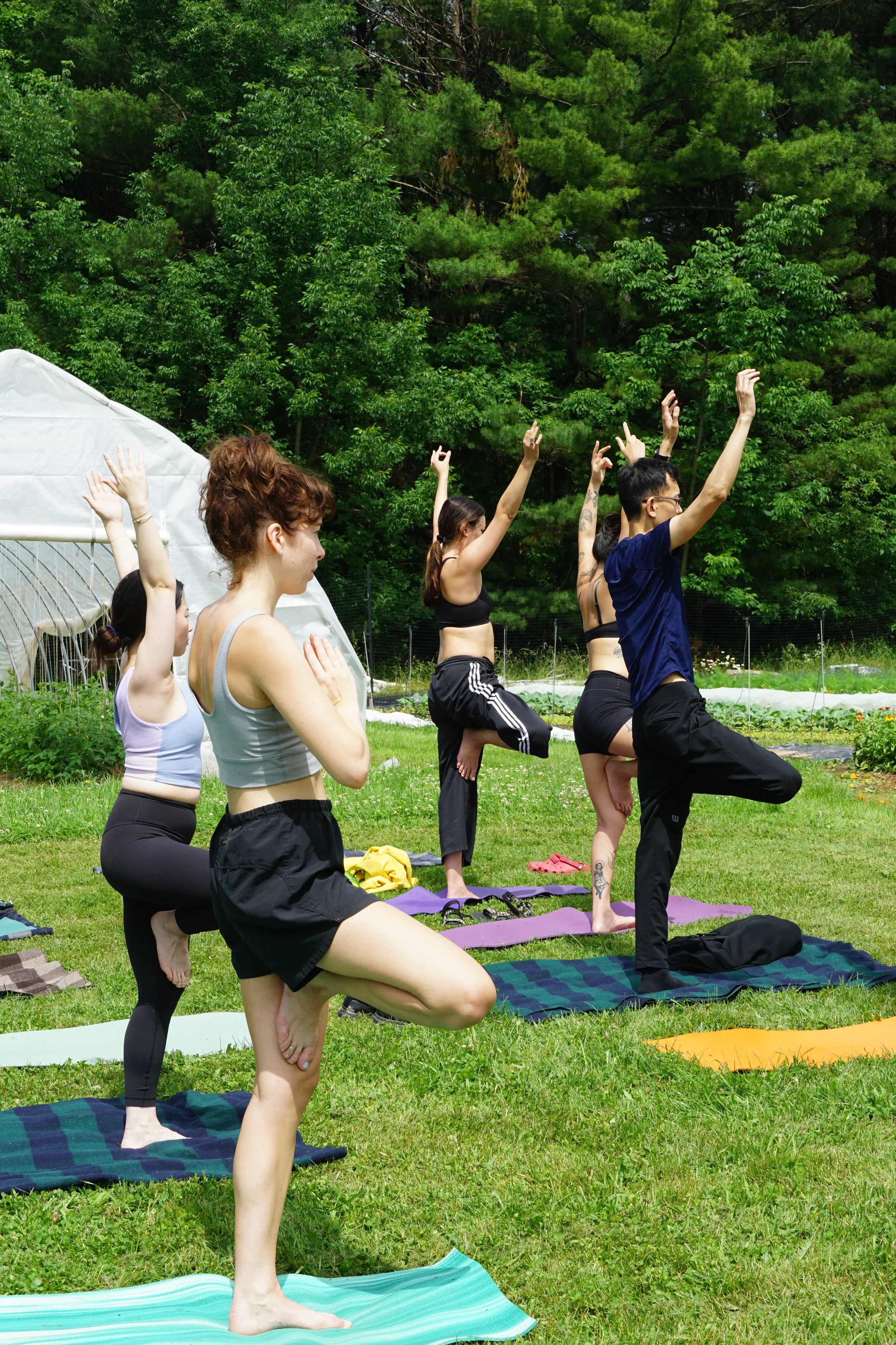 Copy of DSC06816.JPG