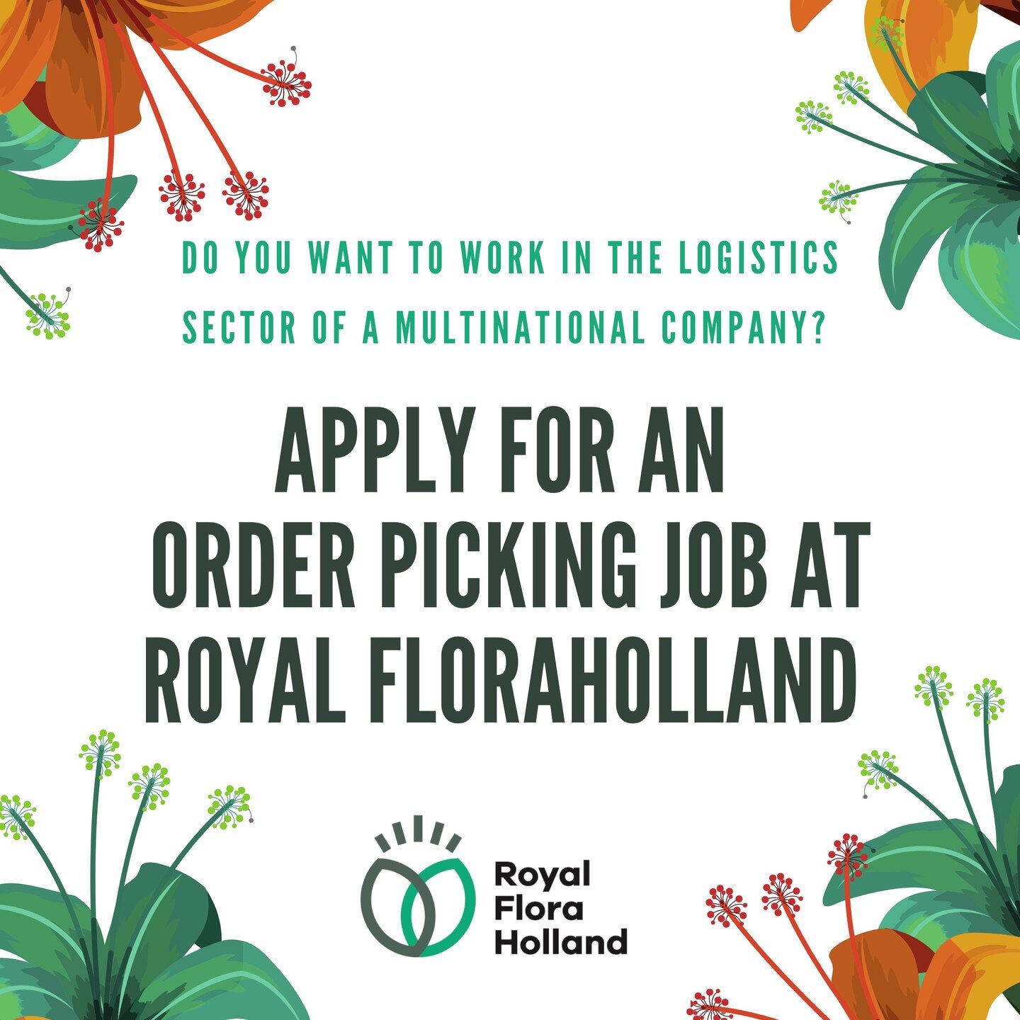 Do you want to work in the logistics sector of a multinational company? 

Apply for an order picking job at royal FloraHolland

Royal FloraHolland is one of the largest auction houses in the world and sells flowers to clients located all over the glo