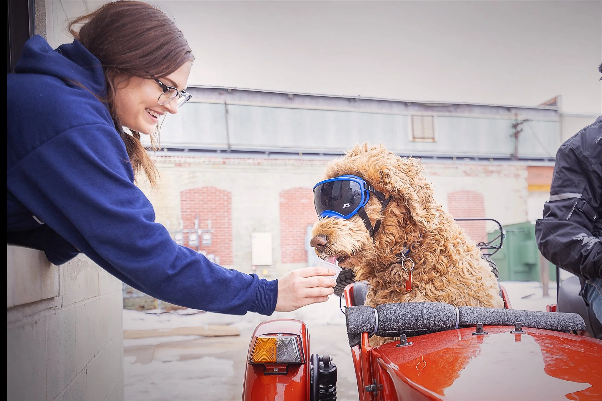 Iron + Grain Coffee House