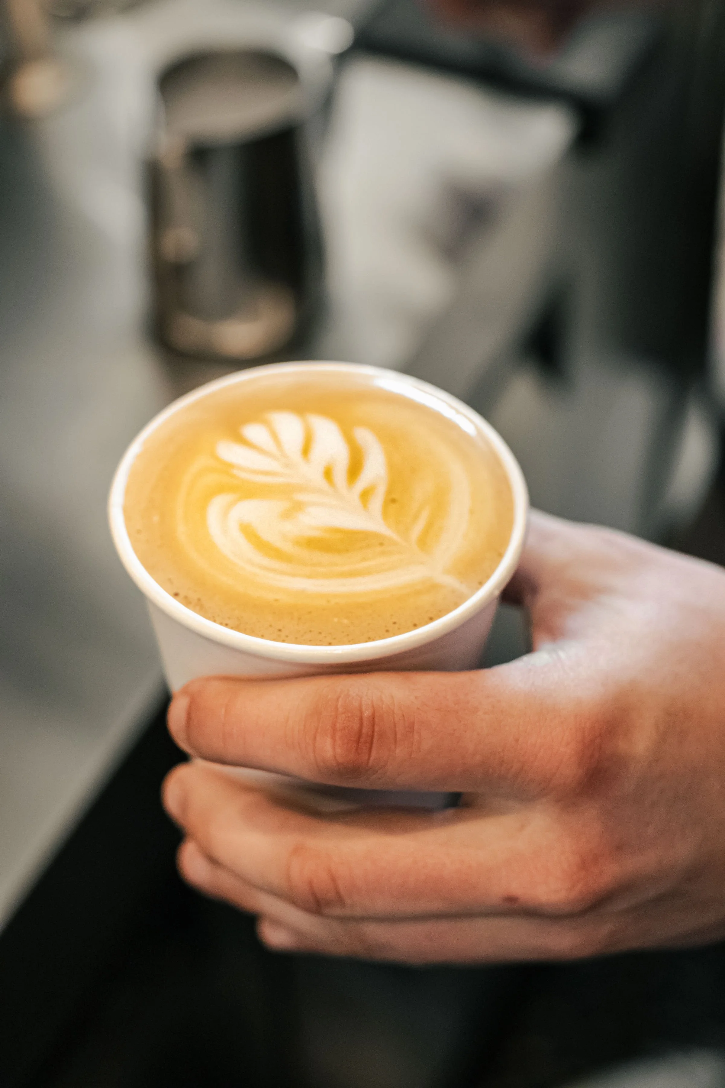 Iron + Grain Coffee House