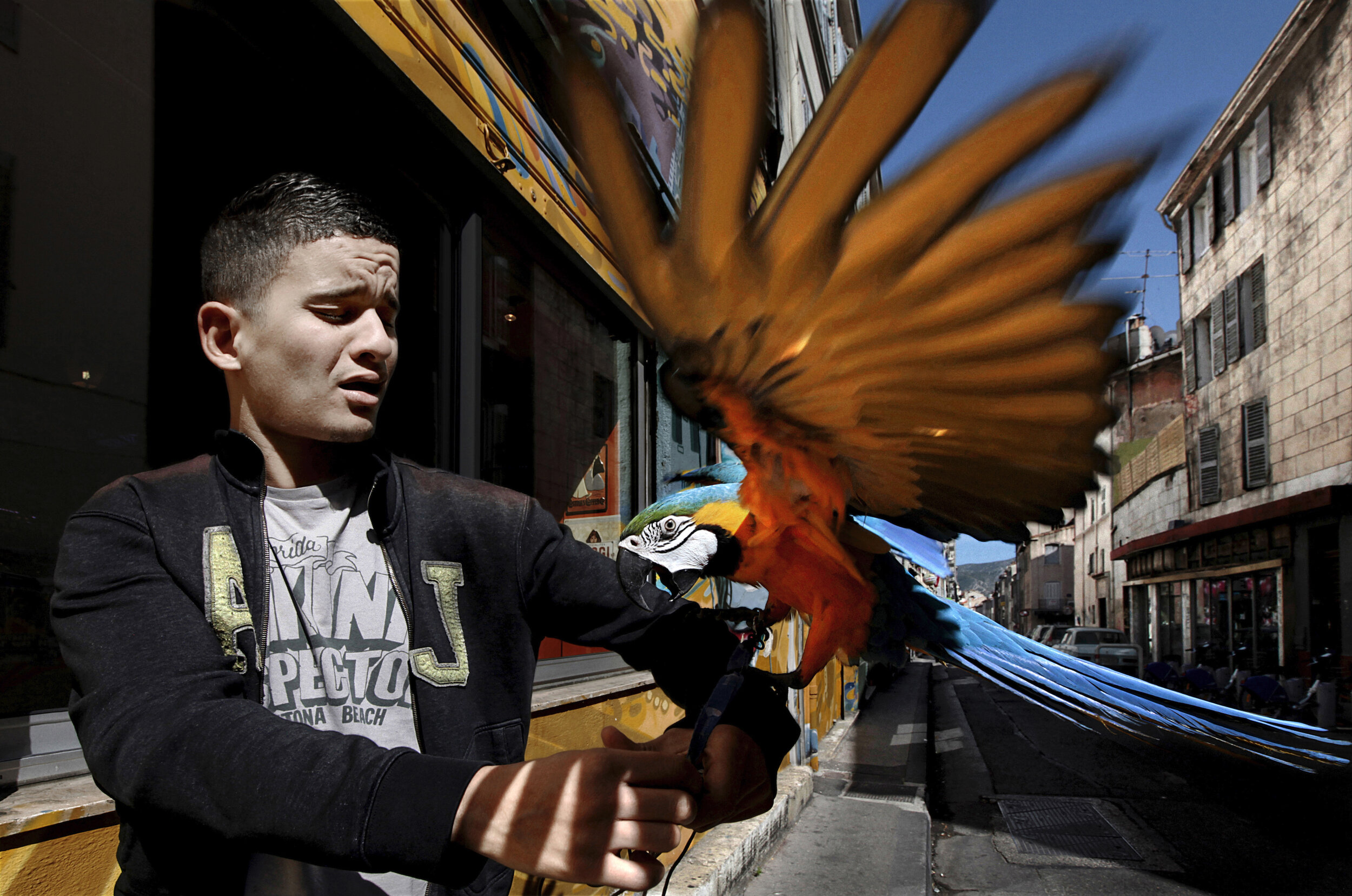   France. Marseille. 2014. A young man and his blue-and-gold macaw in a street near Place Jean Jaurès.            
